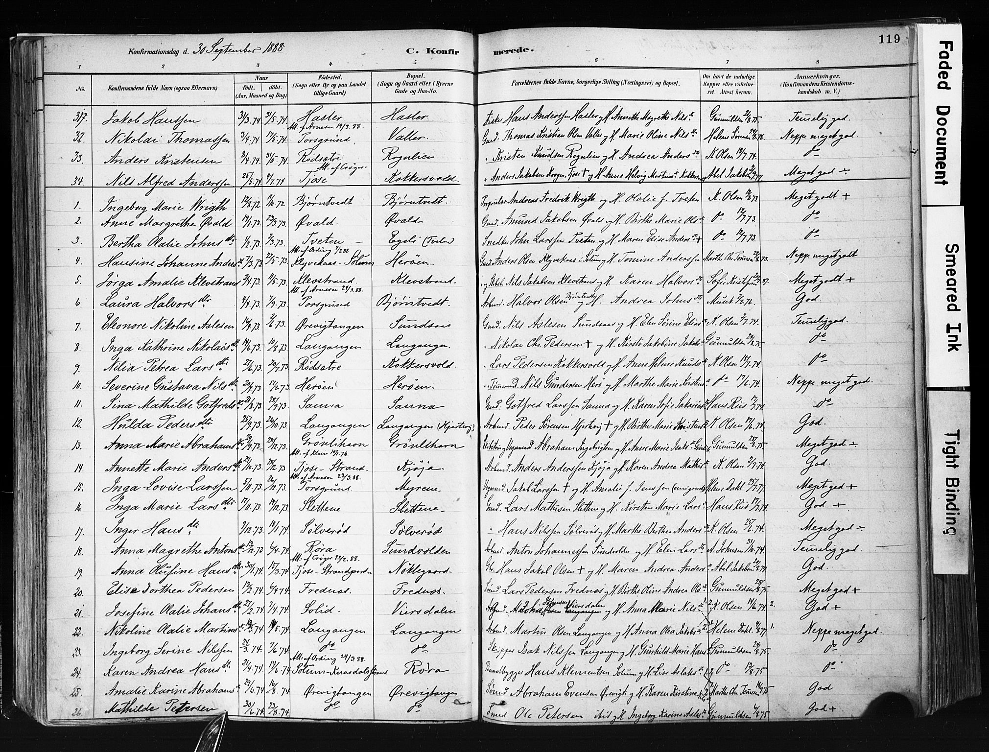 Eidanger kirkebøker, AV/SAKO-A-261/F/Fa/L0012: Parish register (official) no. 12, 1879-1900, p. 119