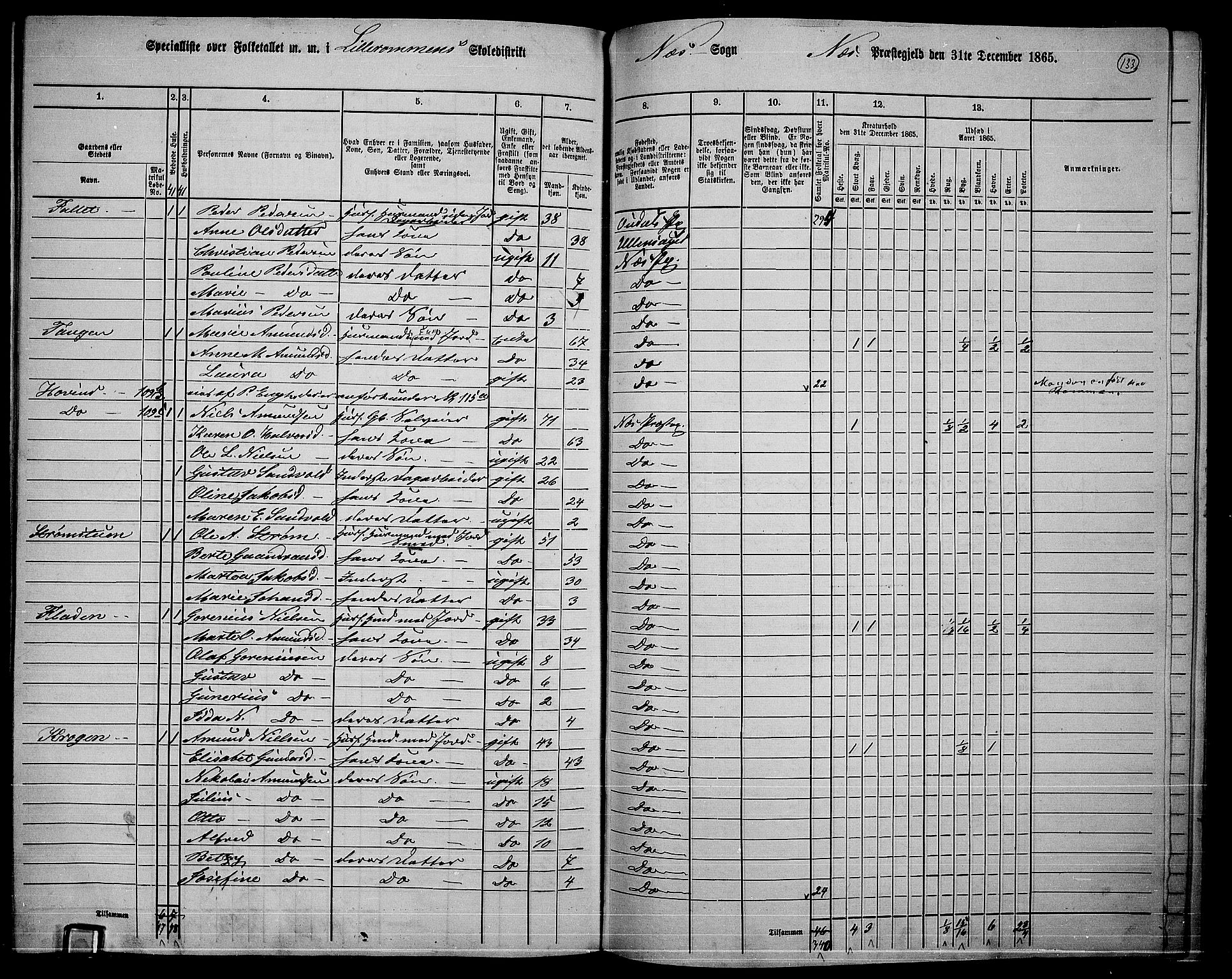 RA, 1865 census for Nes, 1865, p. 120