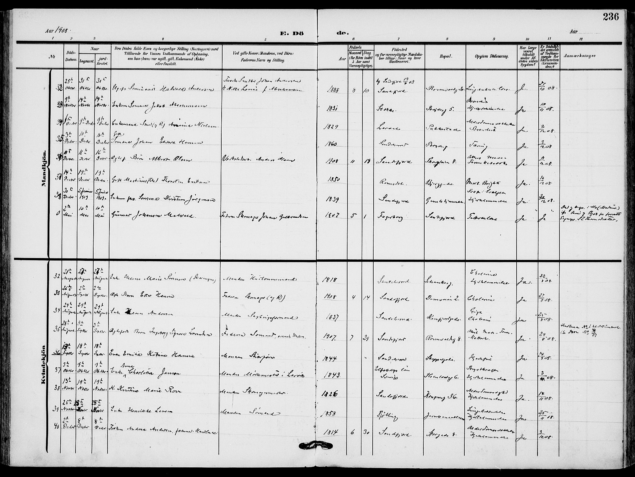 Sandefjord kirkebøker, AV/SAKO-A-315/F/Fa/L0005: Parish register (official) no. 5, 1906-1915, p. 236