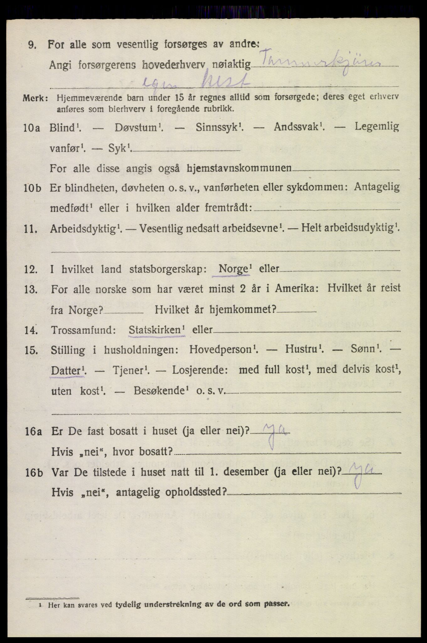 SAH, 1920 census for Brandbu, 1920, p. 10516