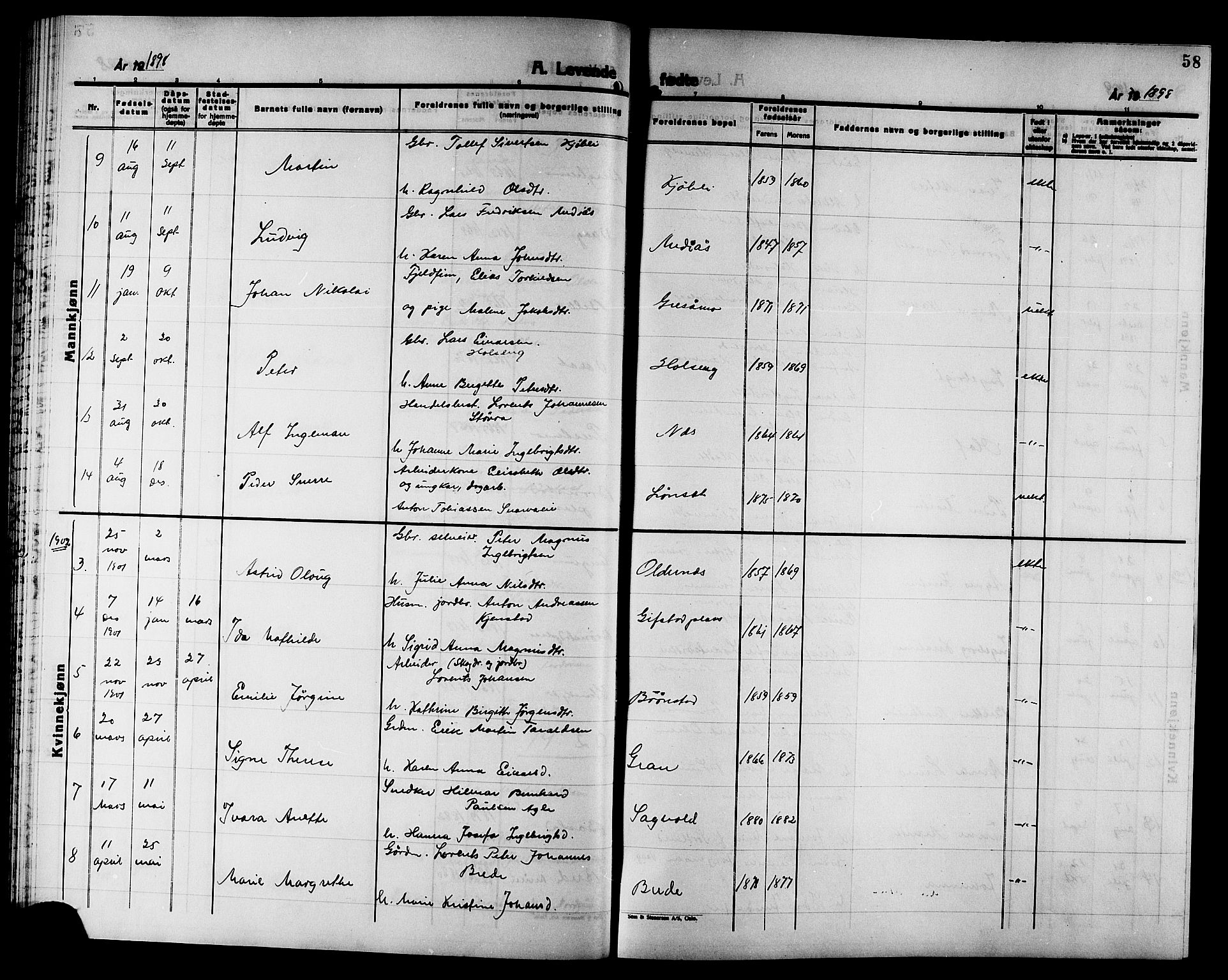 Ministerialprotokoller, klokkerbøker og fødselsregistre - Nord-Trøndelag, AV/SAT-A-1458/749/L0487: Parish register (official) no. 749D03, 1887-1902, p. 58