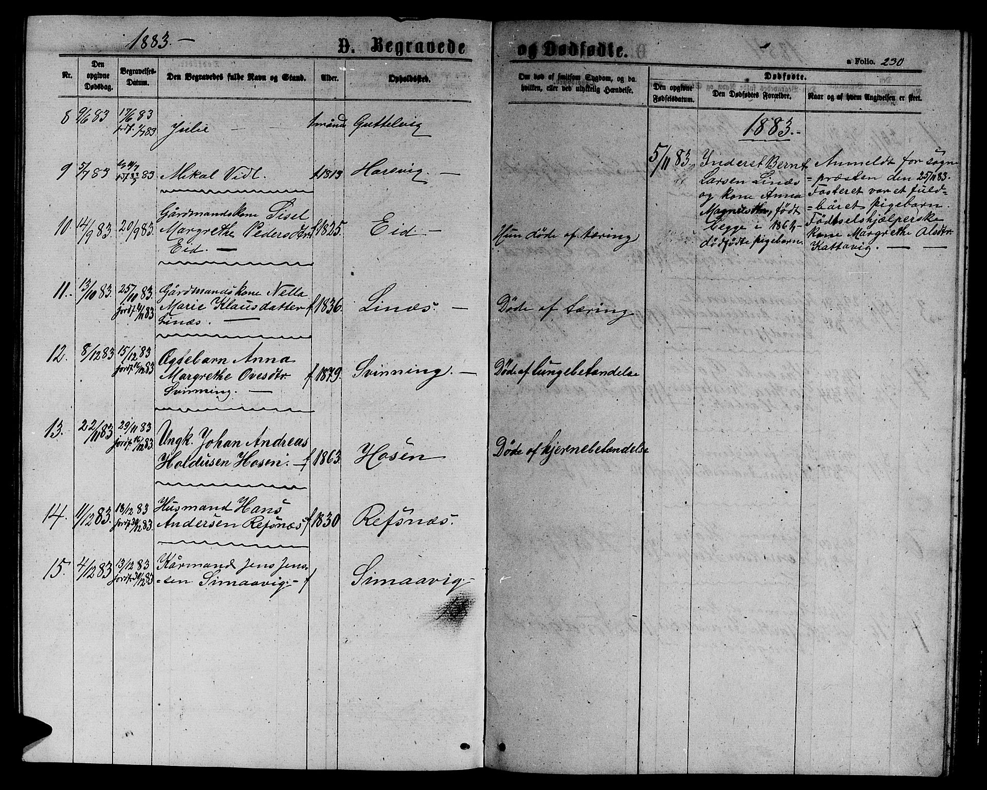 Ministerialprotokoller, klokkerbøker og fødselsregistre - Sør-Trøndelag, AV/SAT-A-1456/656/L0695: Parish register (copy) no. 656C01, 1867-1889, p. 230