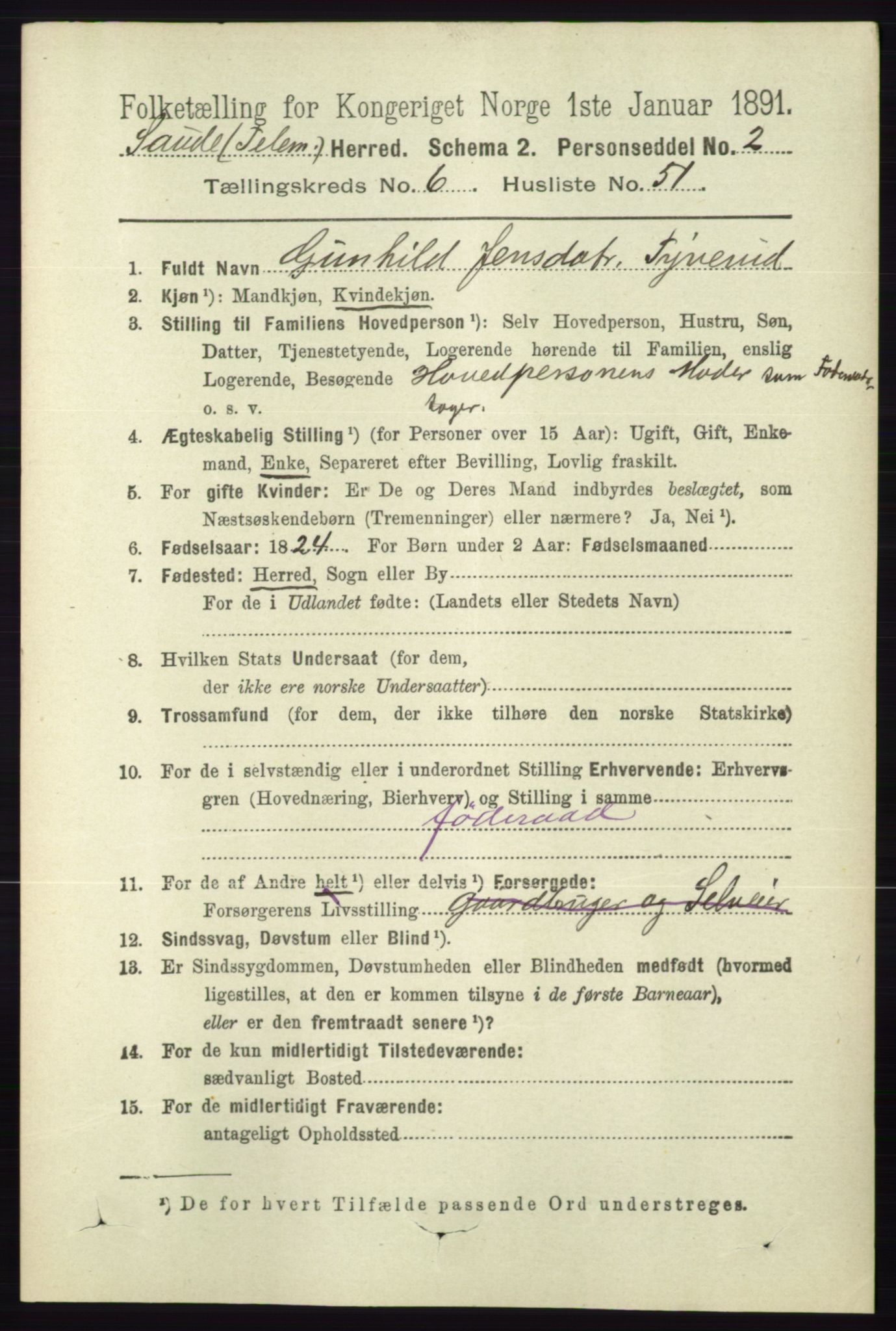 RA, 1891 census for 0822 Sauherad, 1891, p. 1970