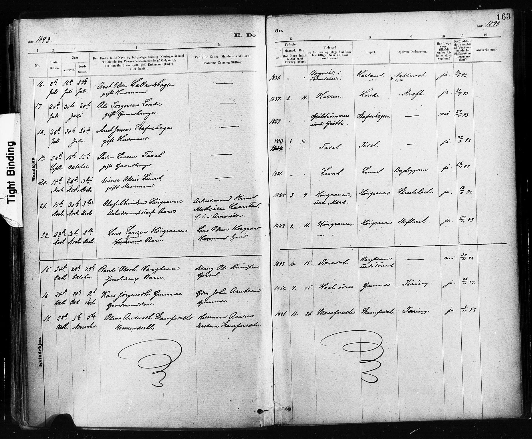 Ministerialprotokoller, klokkerbøker og fødselsregistre - Sør-Trøndelag, SAT/A-1456/674/L0871: Parish register (official) no. 674A03, 1880-1896, p. 163