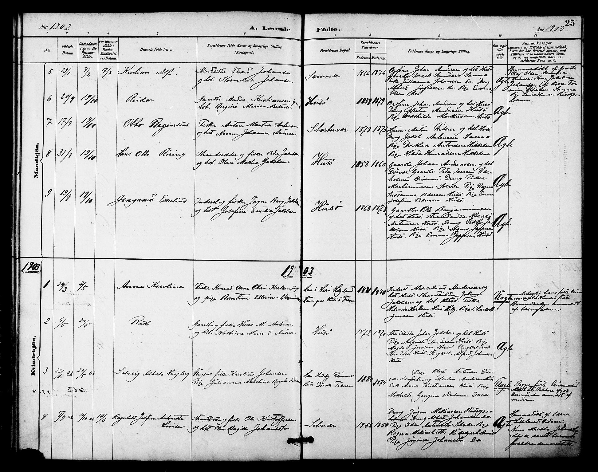 Ministerialprotokoller, klokkerbøker og fødselsregistre - Nordland, AV/SAT-A-1459/840/L0580: Parish register (official) no. 840A02, 1887-1909, p. 25