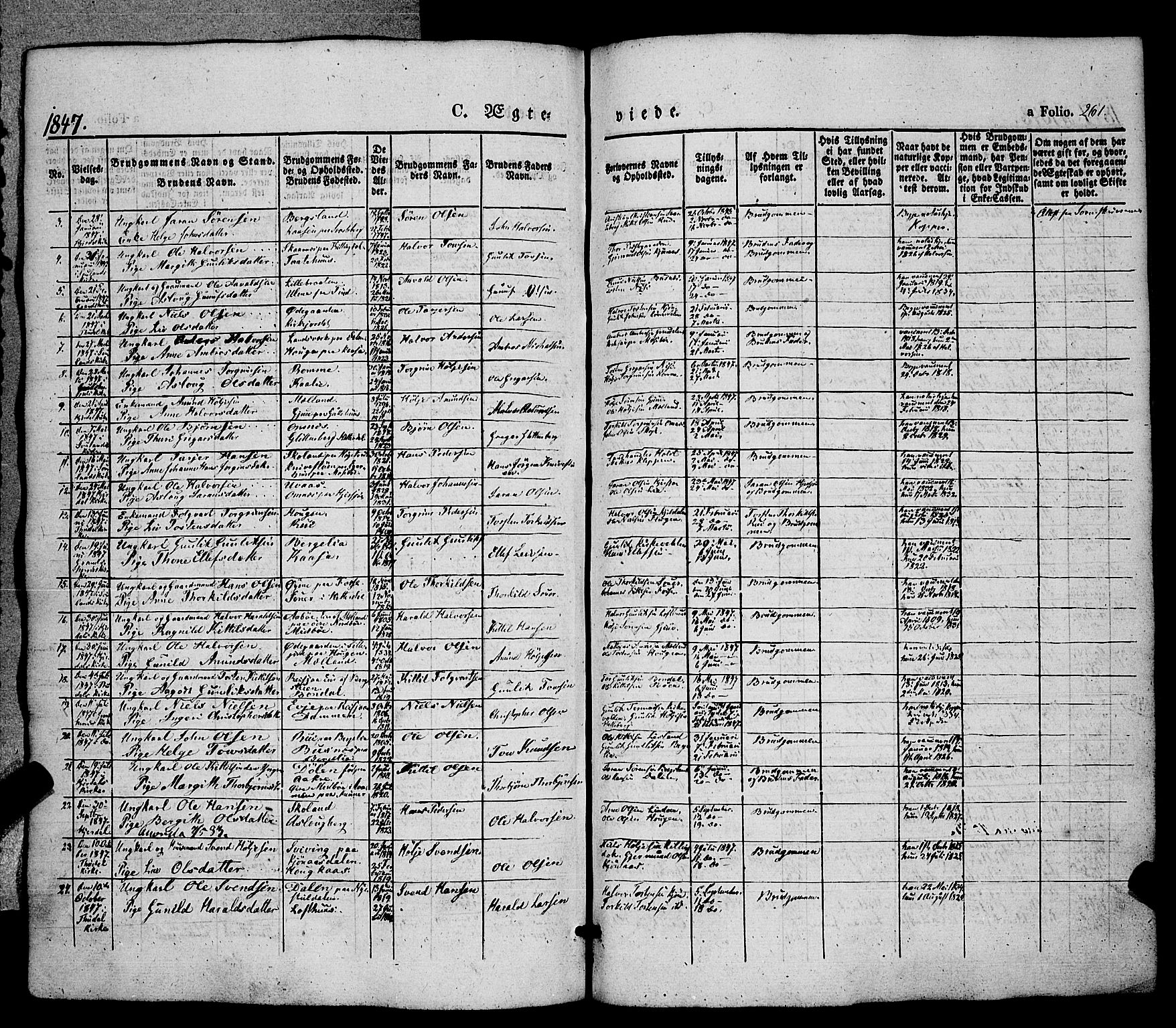 Hjartdal kirkebøker, SAKO/A-270/F/Fa/L0008: Parish register (official) no. I 8, 1844-1859, p. 261