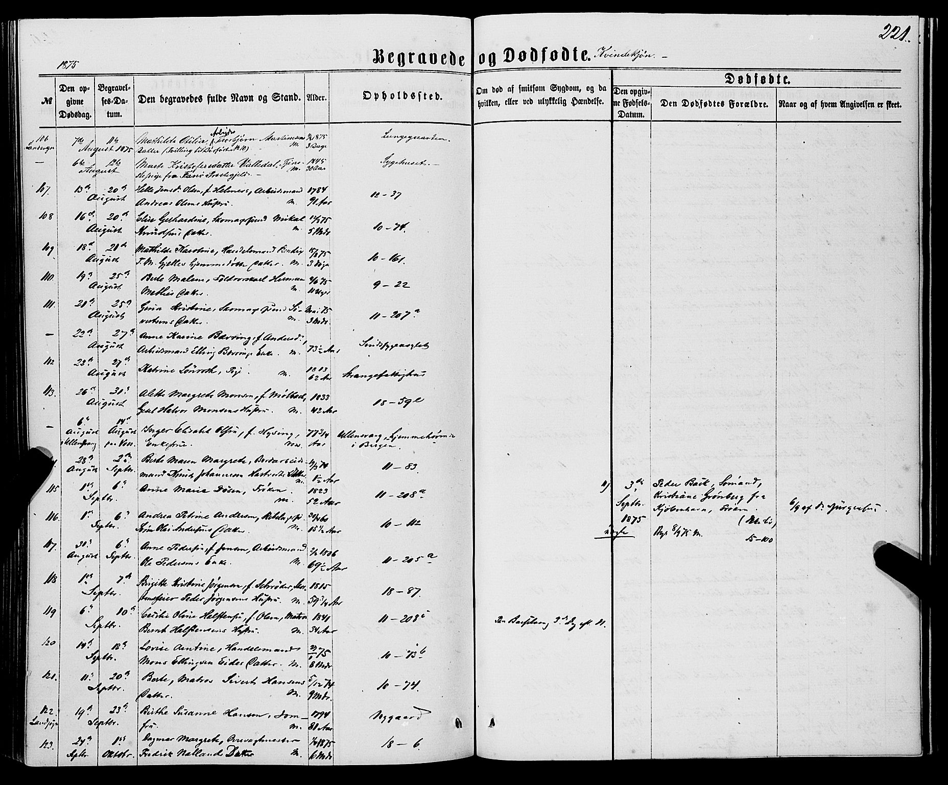 Domkirken sokneprestembete, AV/SAB-A-74801/H/Haa/L0042: Parish register (official) no. E 3, 1863-1876, p. 221