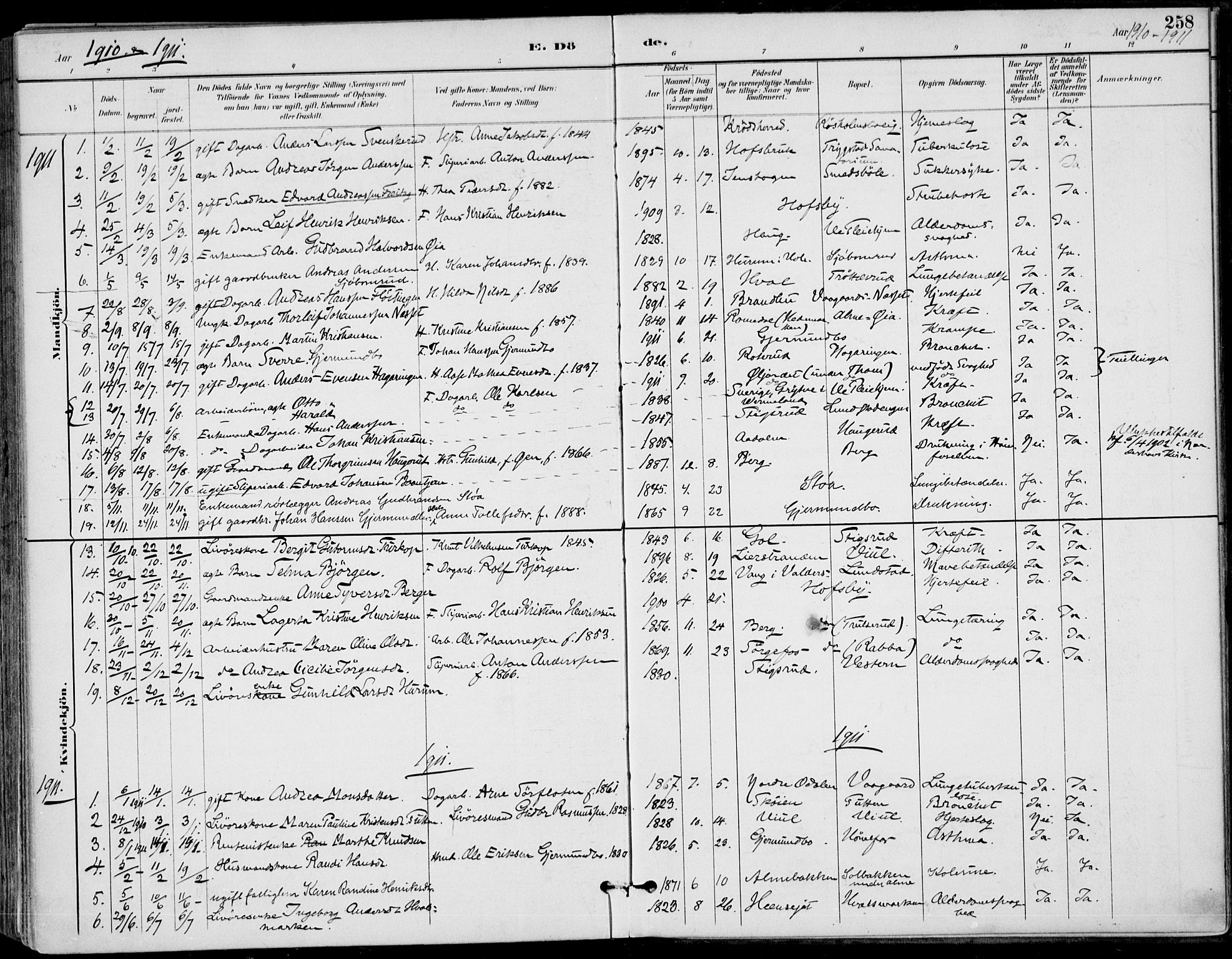 Haug kirkebøker, SAKO/A-604/F/Fa/L0001: Parish register (official) no. 1, 1885-1917, p. 258