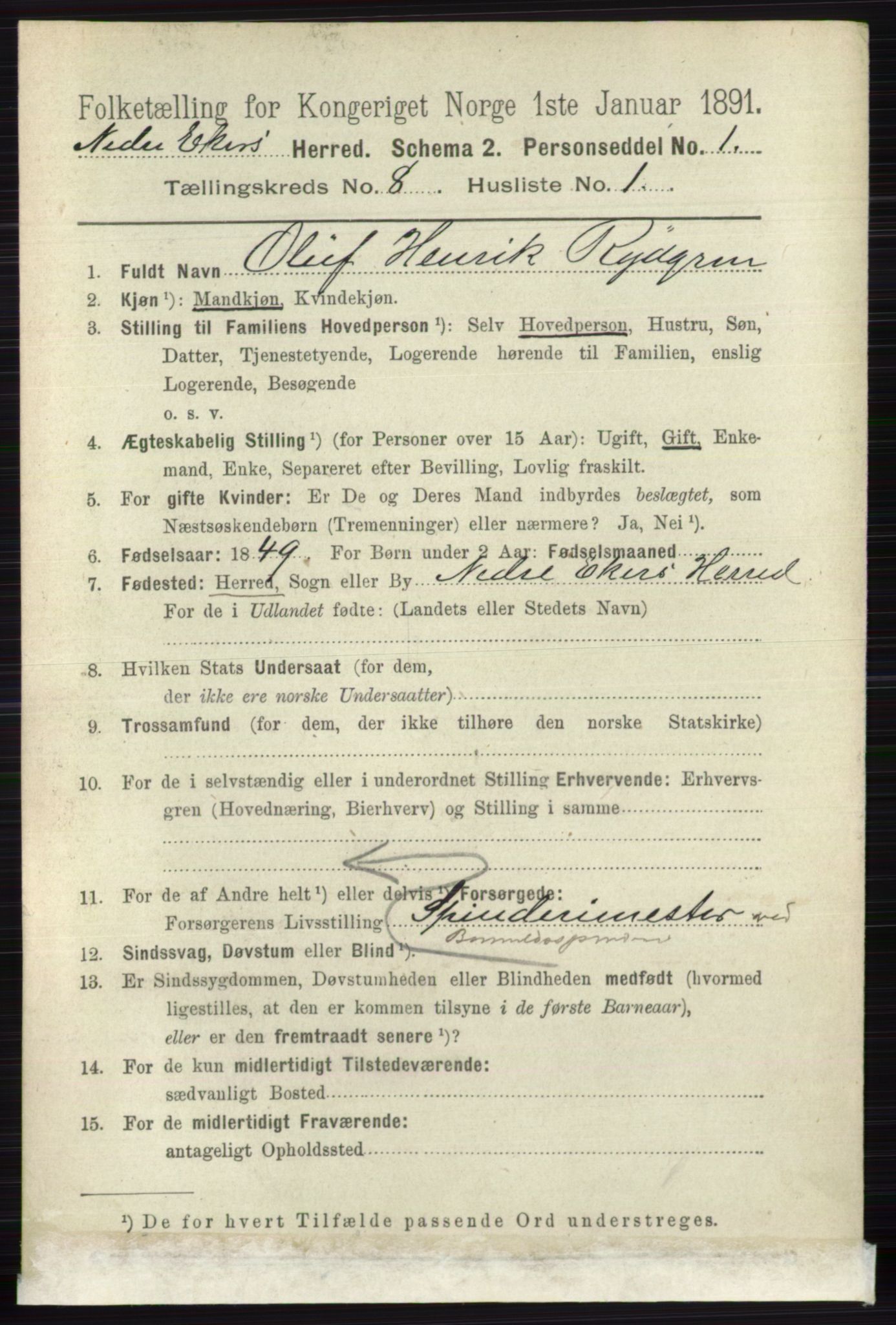 RA, 1891 census for 0625 Nedre Eiker, 1891, p. 3953