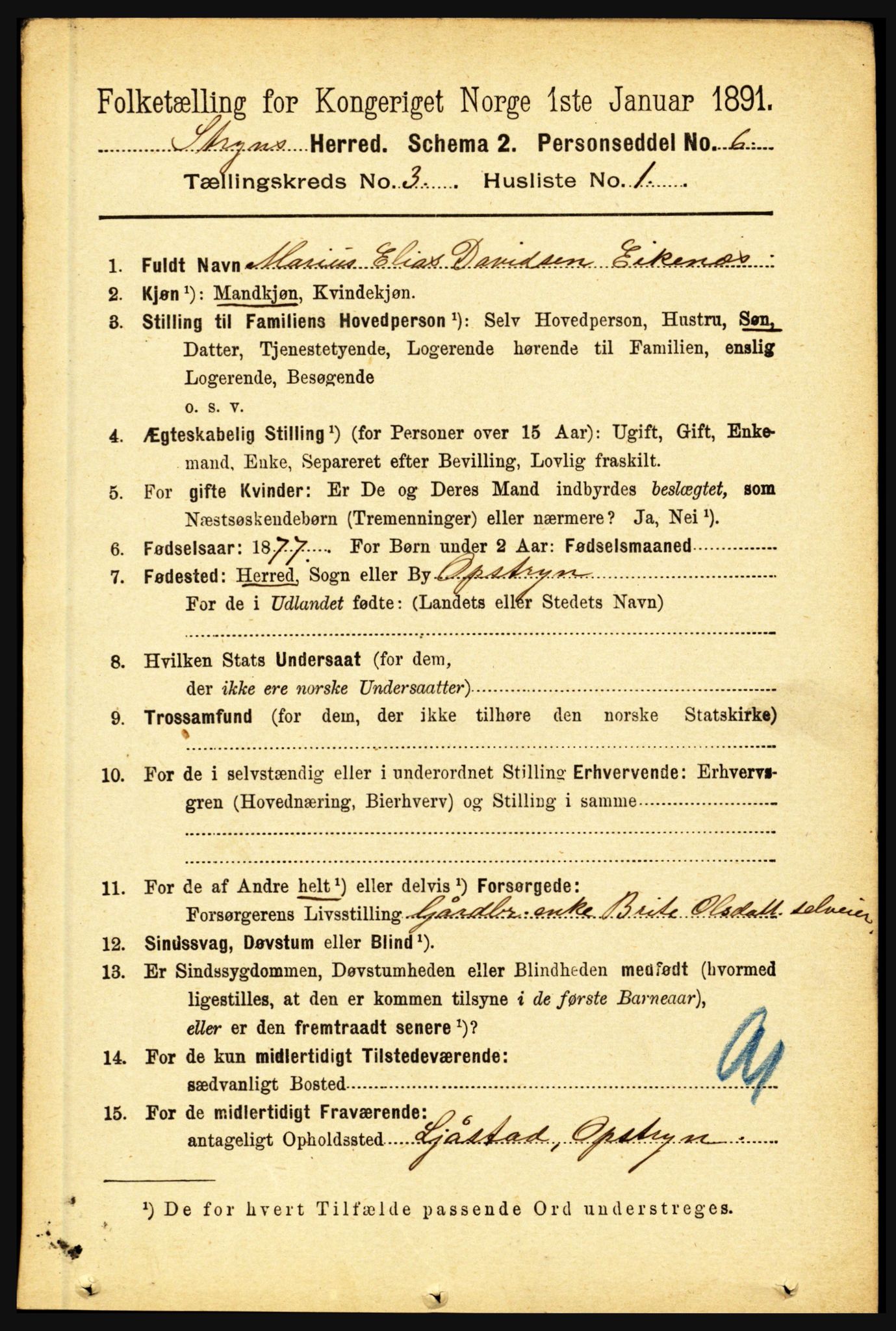 RA, 1891 census for 1448 Stryn, 1891, p. 1101