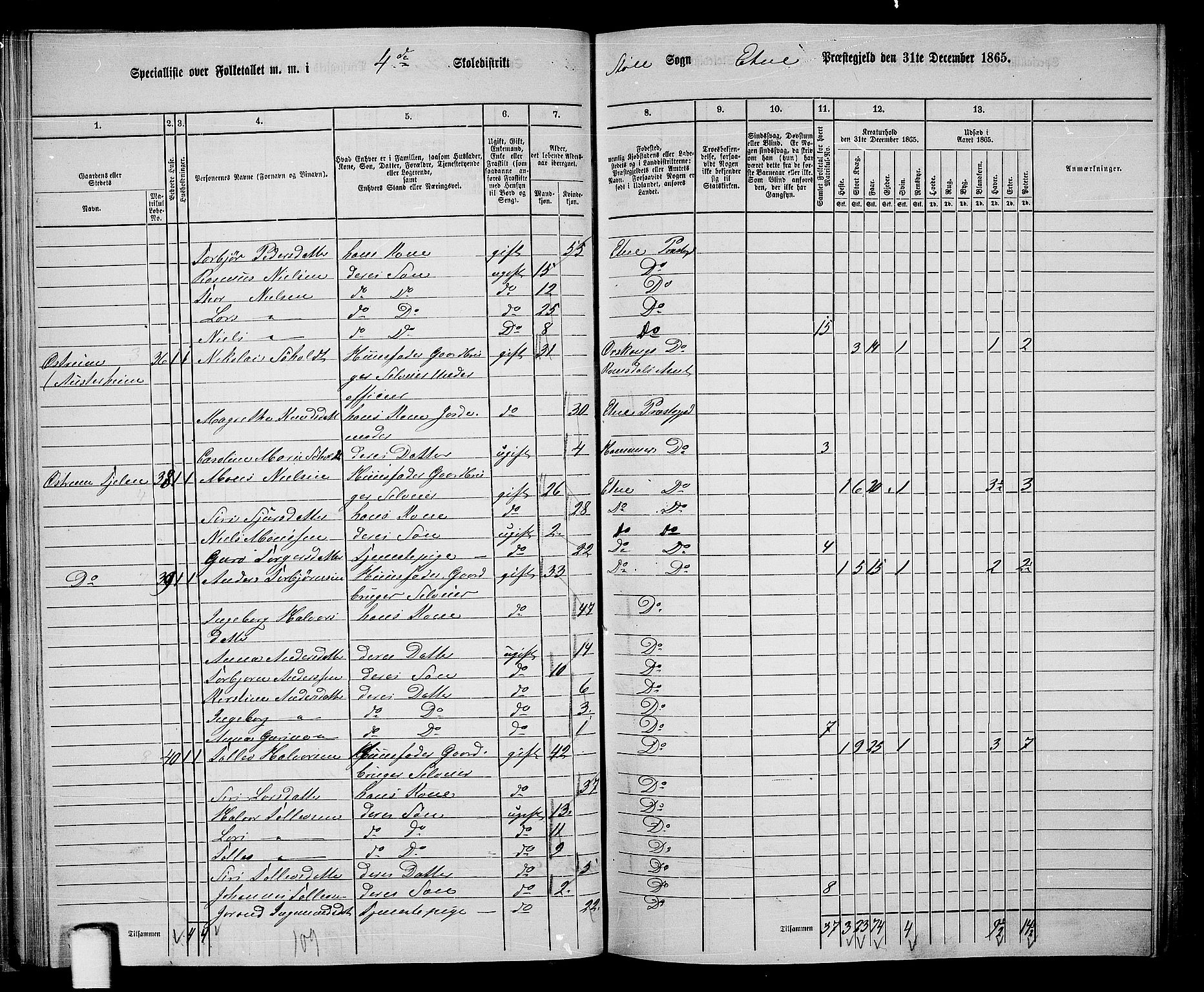 RA, 1865 census for Etne, 1865, p. 42