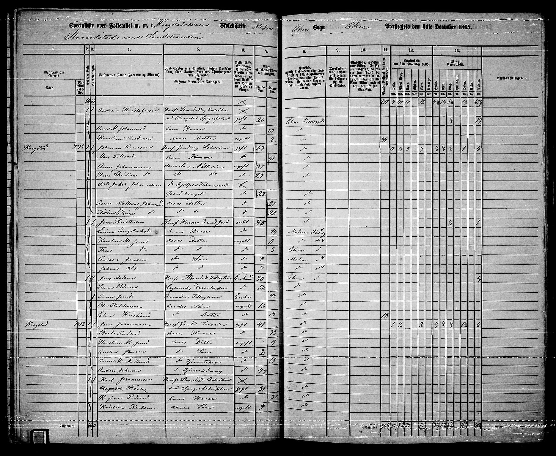 RA, 1865 census for Eiker, 1865, p. 380