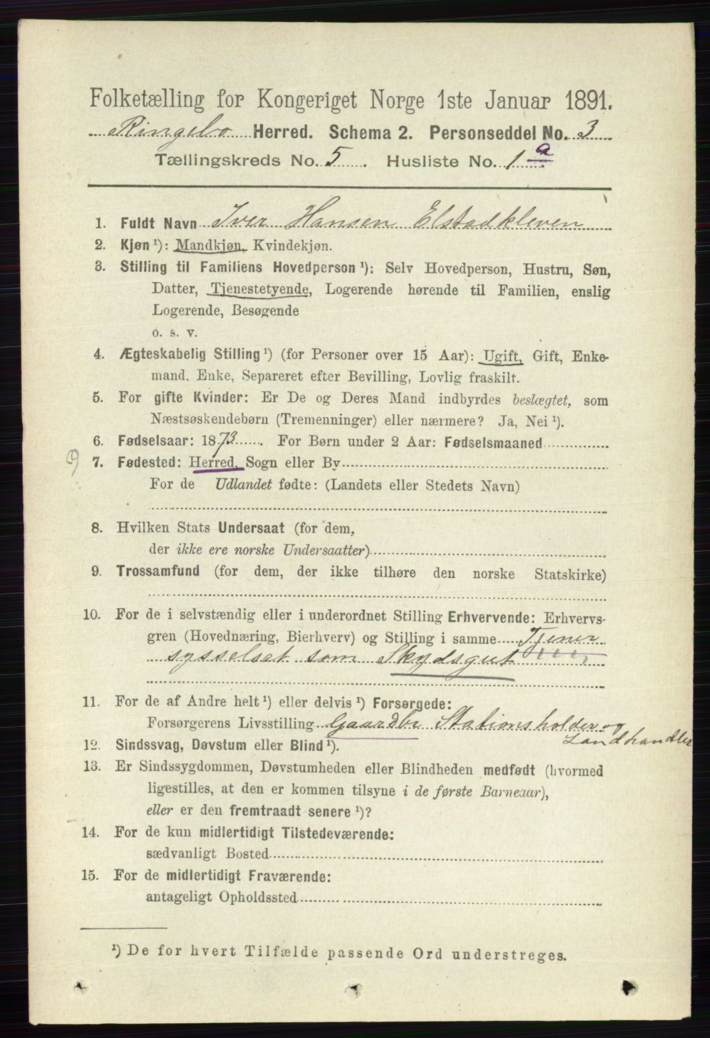 RA, 1891 census for 0520 Ringebu, 1891, p. 1969