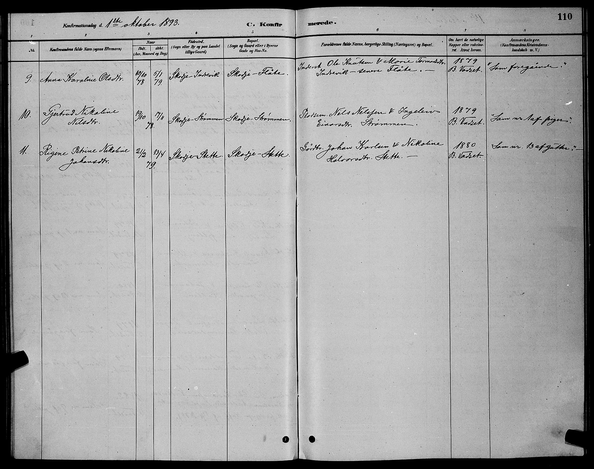 Ministerialprotokoller, klokkerbøker og fødselsregistre - Møre og Romsdal, AV/SAT-A-1454/524/L0365: Parish register (copy) no. 524C06, 1880-1899, p. 110