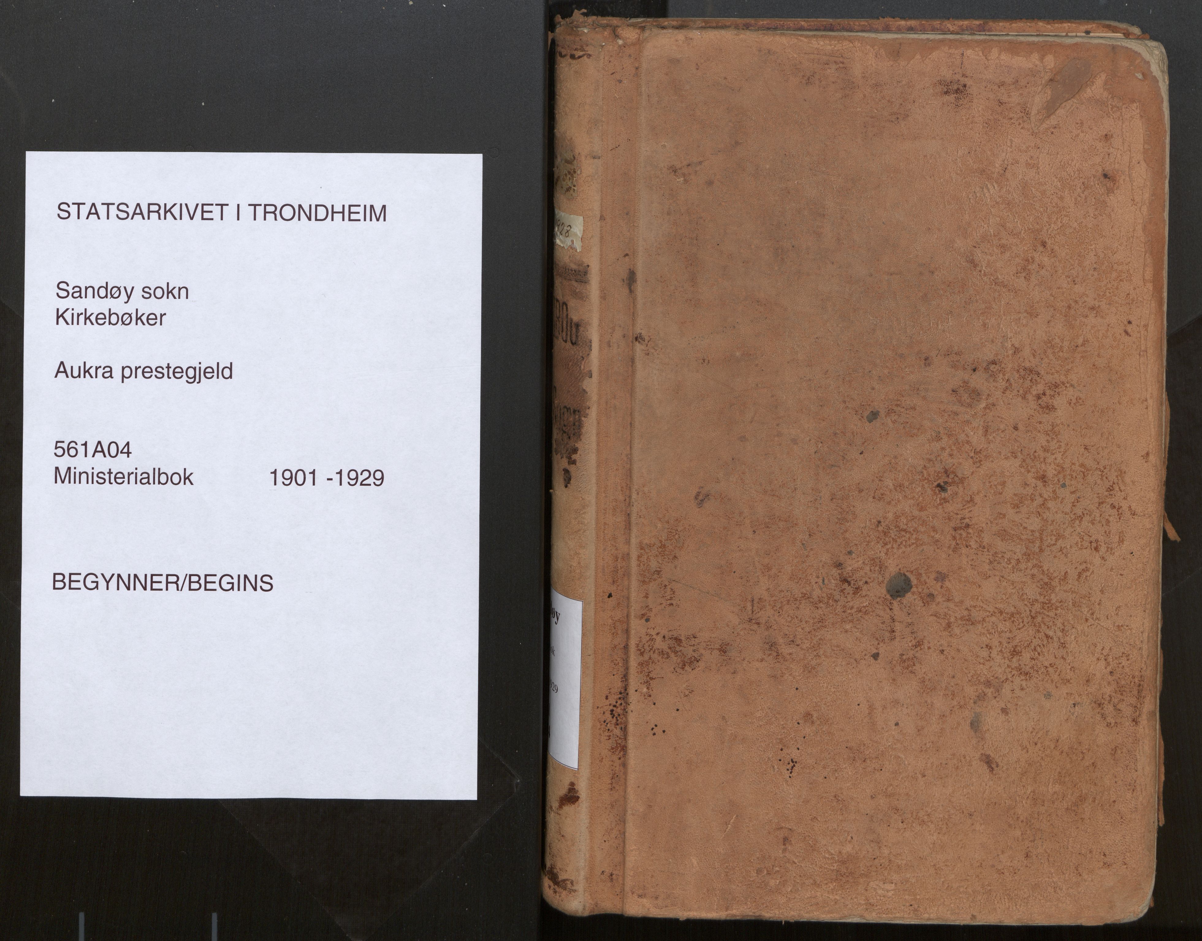 Ministerialprotokoller, klokkerbøker og fødselsregistre - Møre og Romsdal, SAT/A-1454/561/L0730: Parish register (official) no. 561A04, 1901-1929