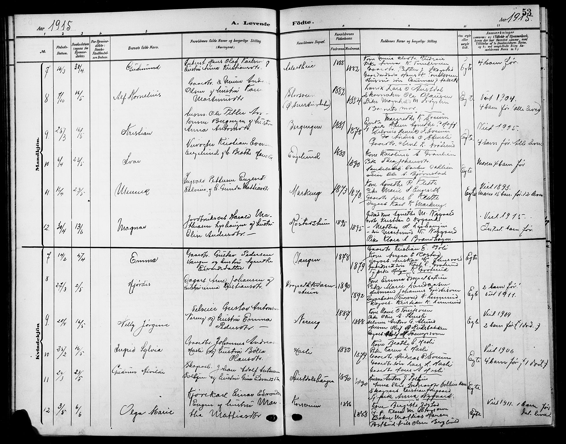 Biri prestekontor, SAH/PREST-096/H/Ha/Hab/L0005: Parish register (copy) no. 5, 1906-1919, p. 53