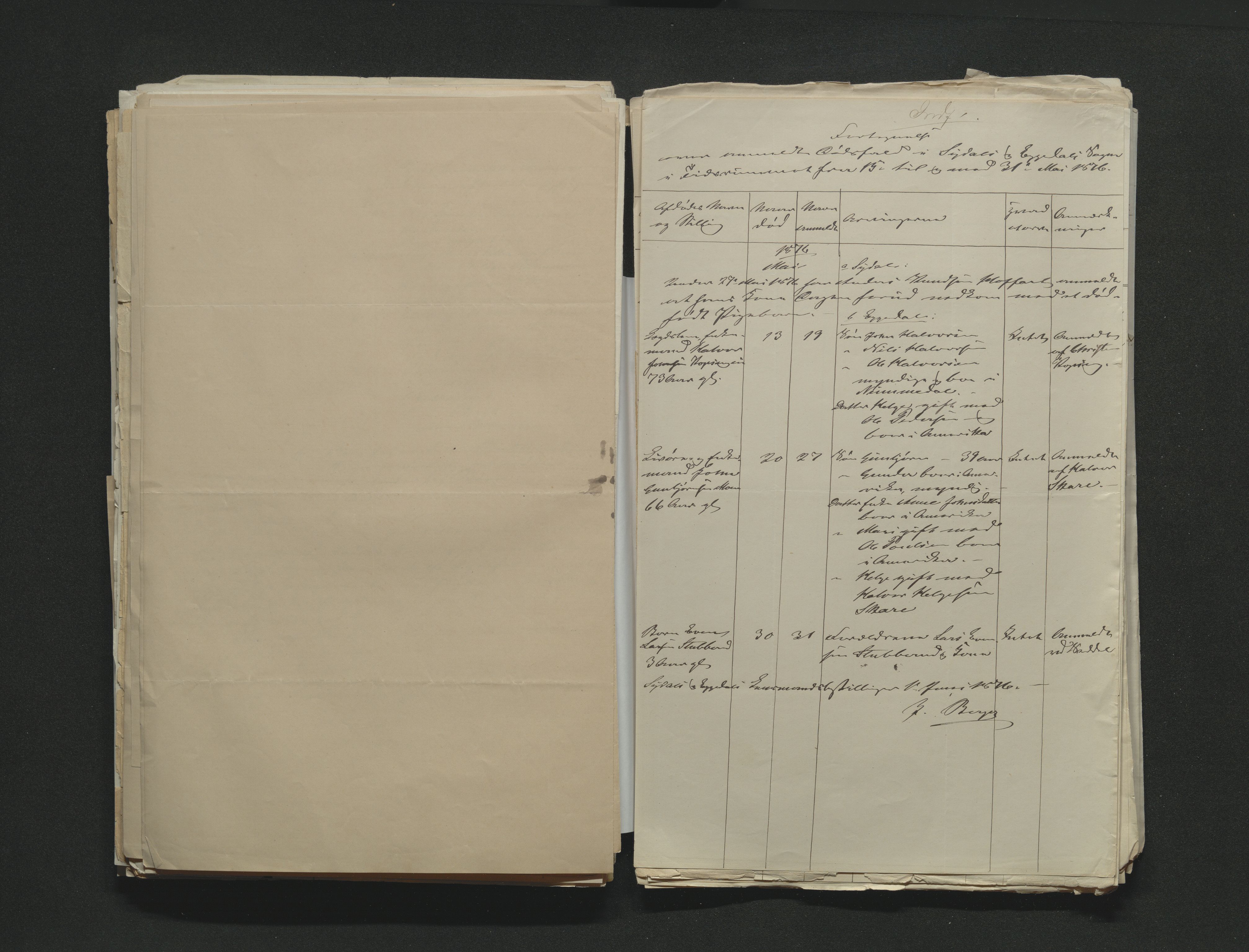 Eiker, Modum og Sigdal sorenskriveri, AV/SAKO-A-123/H/Ha/Hab/L0014: Dødsfallsmeldinger, 1874-1877, p. 477