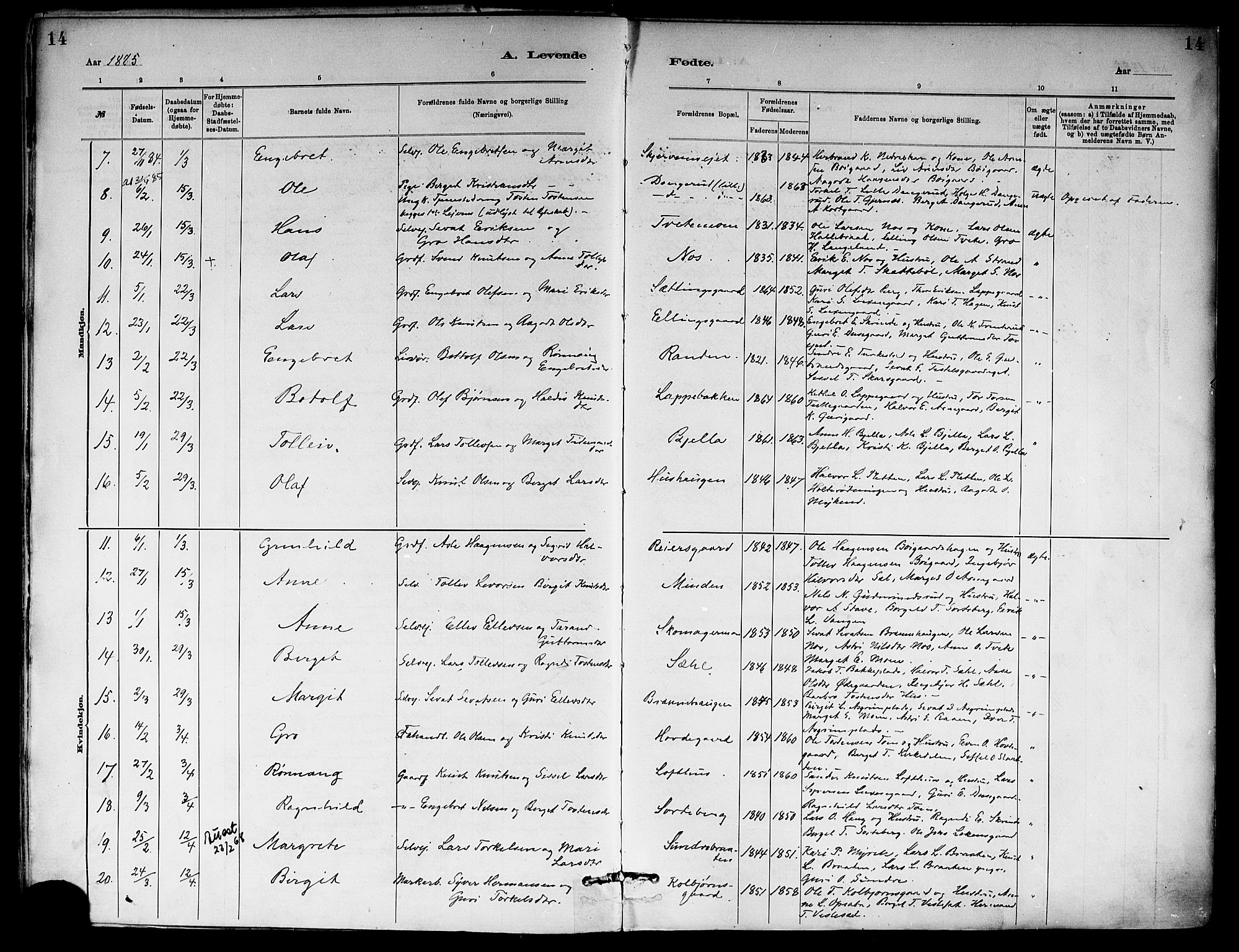 Ål kirkebøker, SAKO/A-249/F/Fa/L0008: Parish register (official) no. I 8, 1882-1896, p. 14