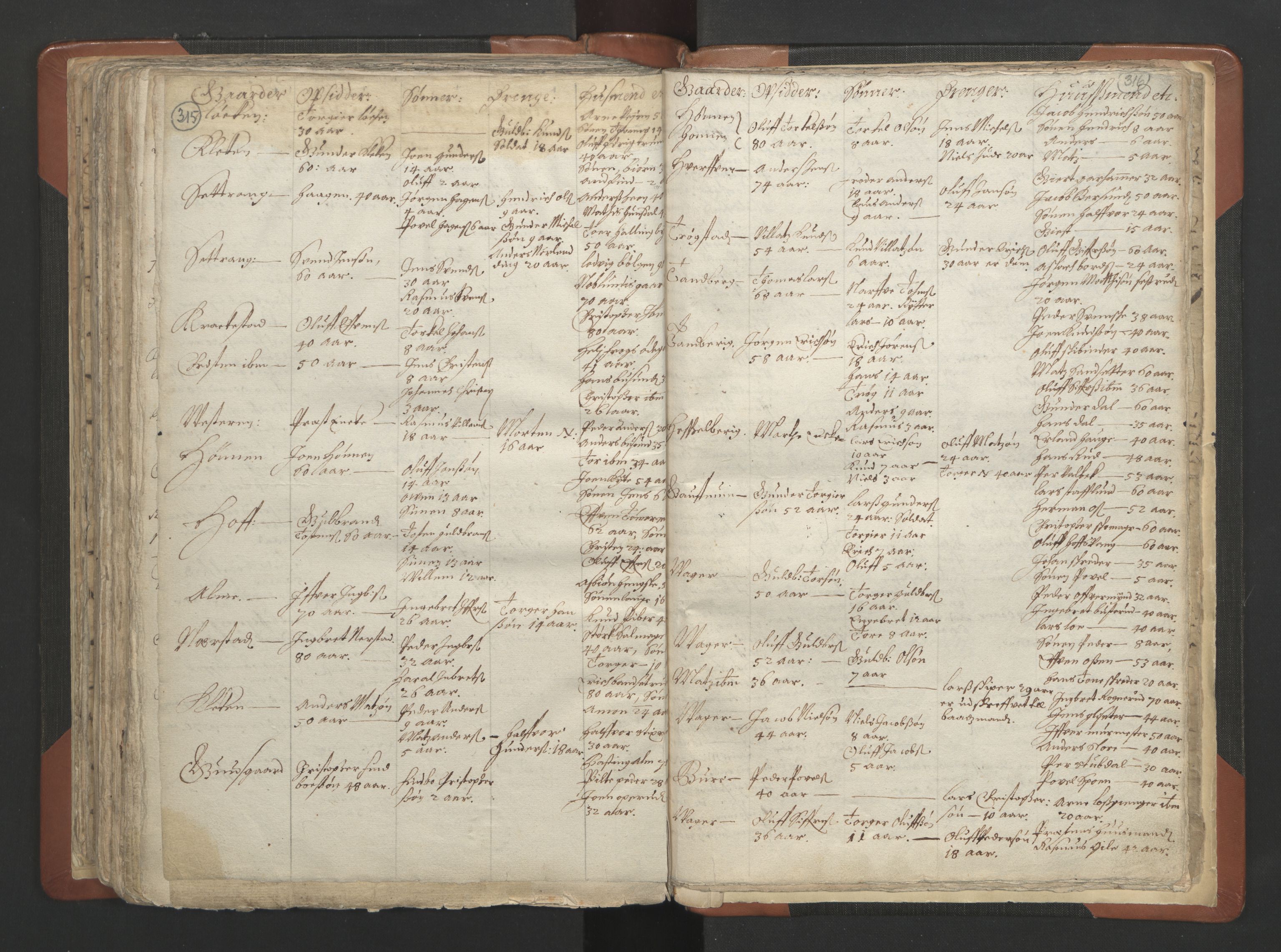 RA, Vicar's Census 1664-1666, no. 7: Hadeland deanery, 1664-1666, p. 315-316