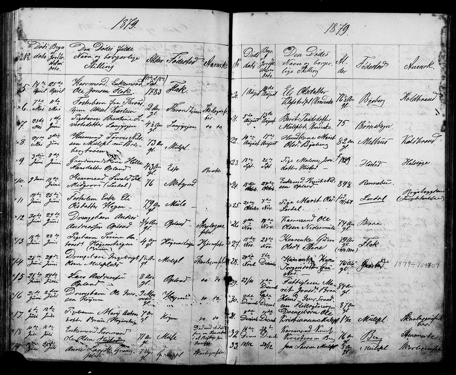 Ministerialprotokoller, klokkerbøker og fødselsregistre - Sør-Trøndelag, AV/SAT-A-1456/612/L0387: Parish register (copy) no. 612C03, 1874-1908, p. 216