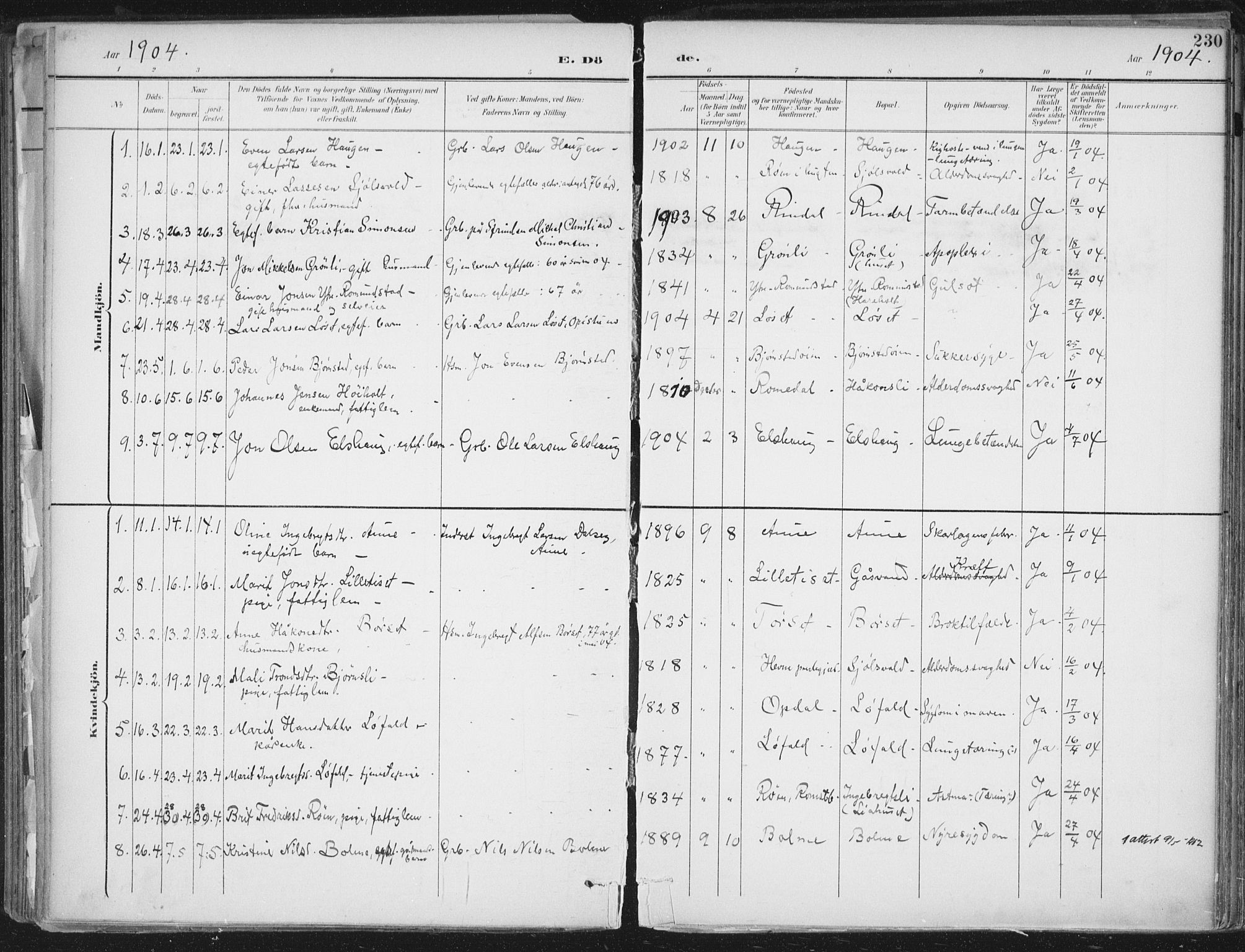 Ministerialprotokoller, klokkerbøker og fødselsregistre - Møre og Romsdal, AV/SAT-A-1454/598/L1072: Parish register (official) no. 598A06, 1896-1910, p. 230