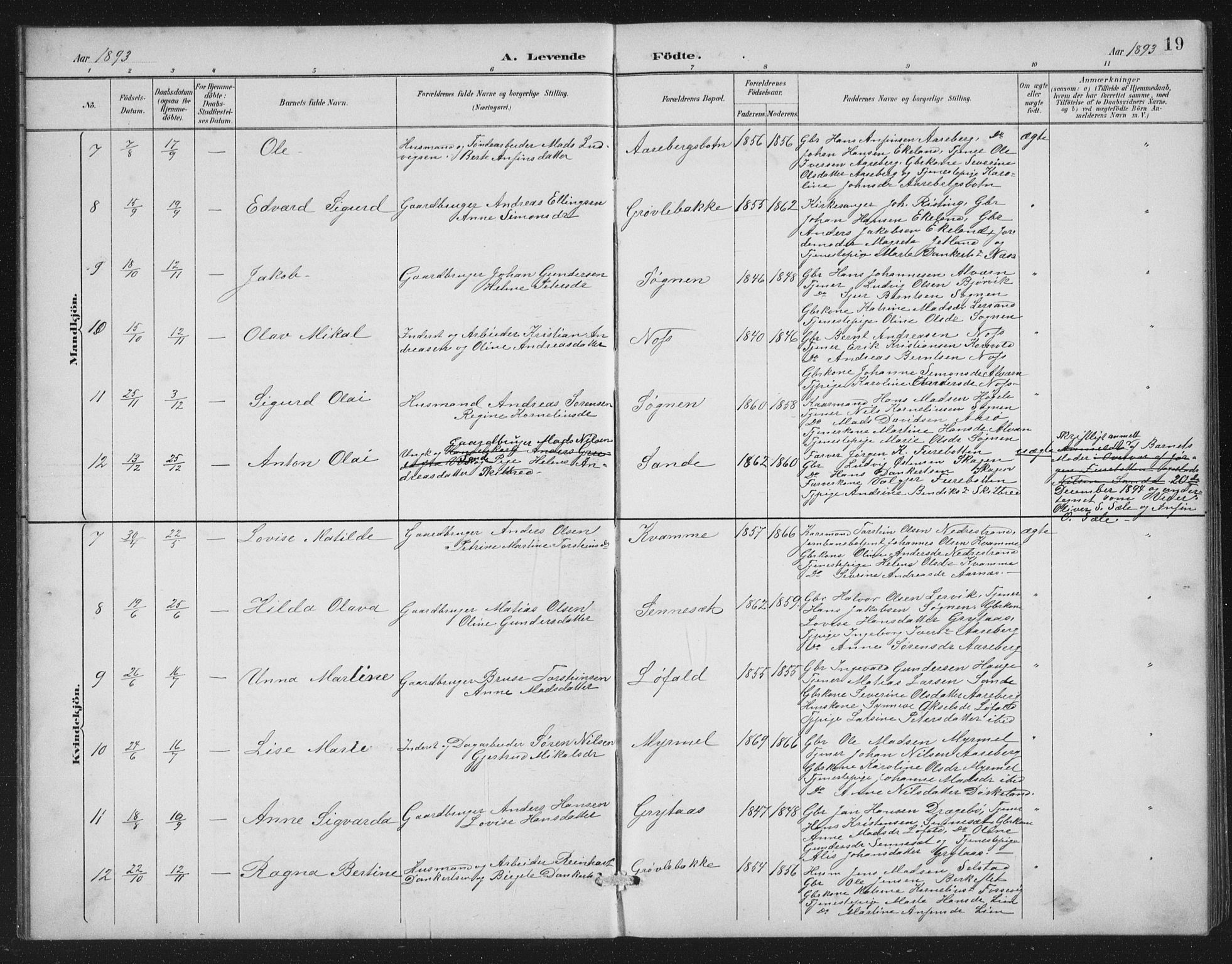 Gaular sokneprestembete, SAB/A-80001/H/Hab: Parish register (copy) no. A 4, 1889-1912, p. 19