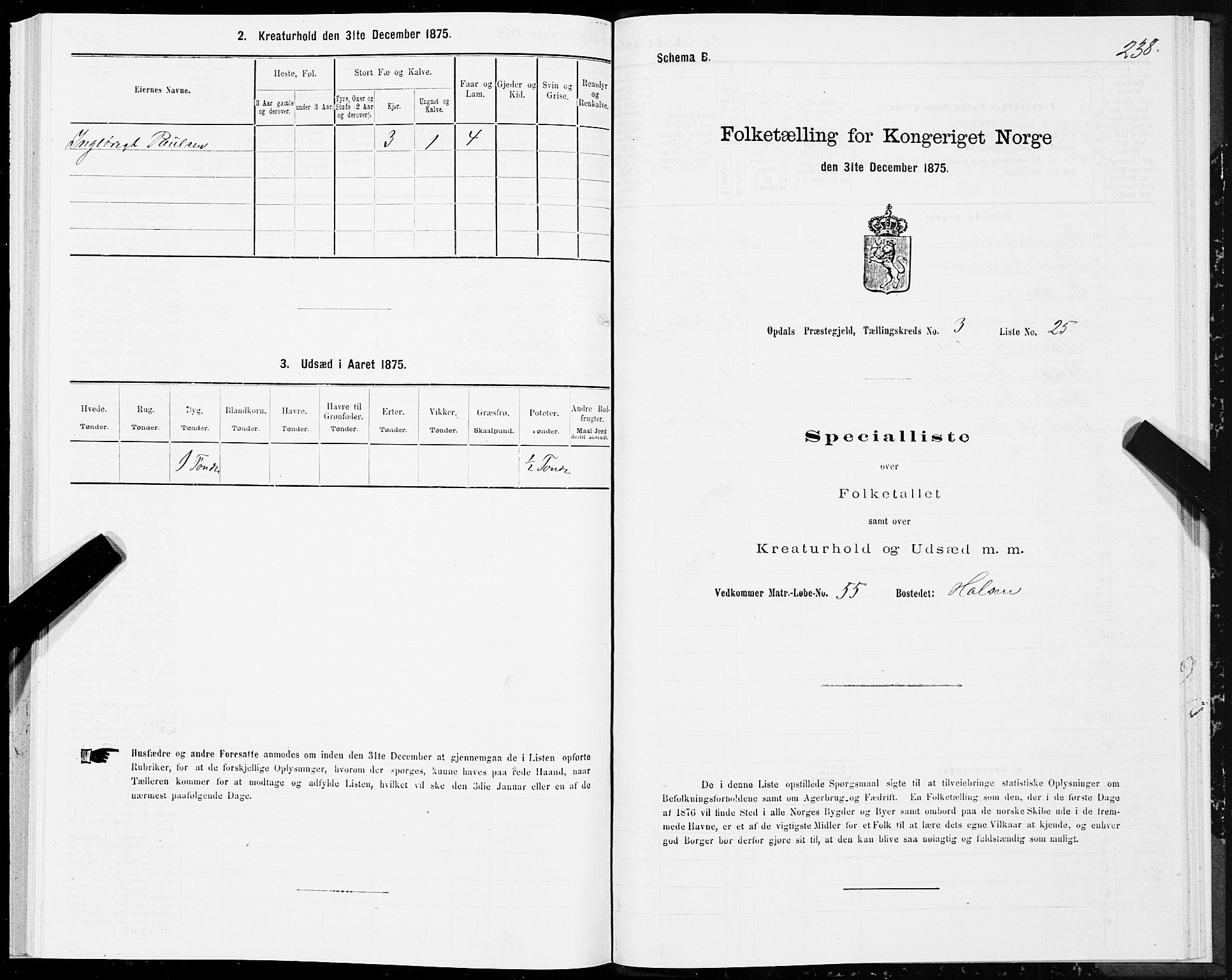 SAT, 1875 census for 1634P Oppdal, 1875, p. 2238