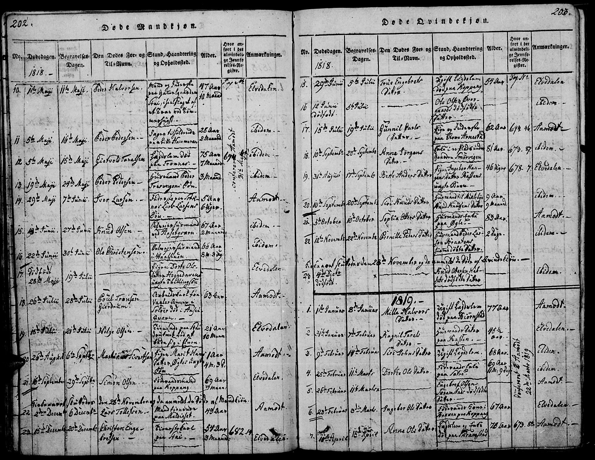 Åmot prestekontor, Hedmark, AV/SAH-PREST-056/H/Ha/Haa/L0005: Parish register (official) no. 5, 1815-1841, p. 202-203