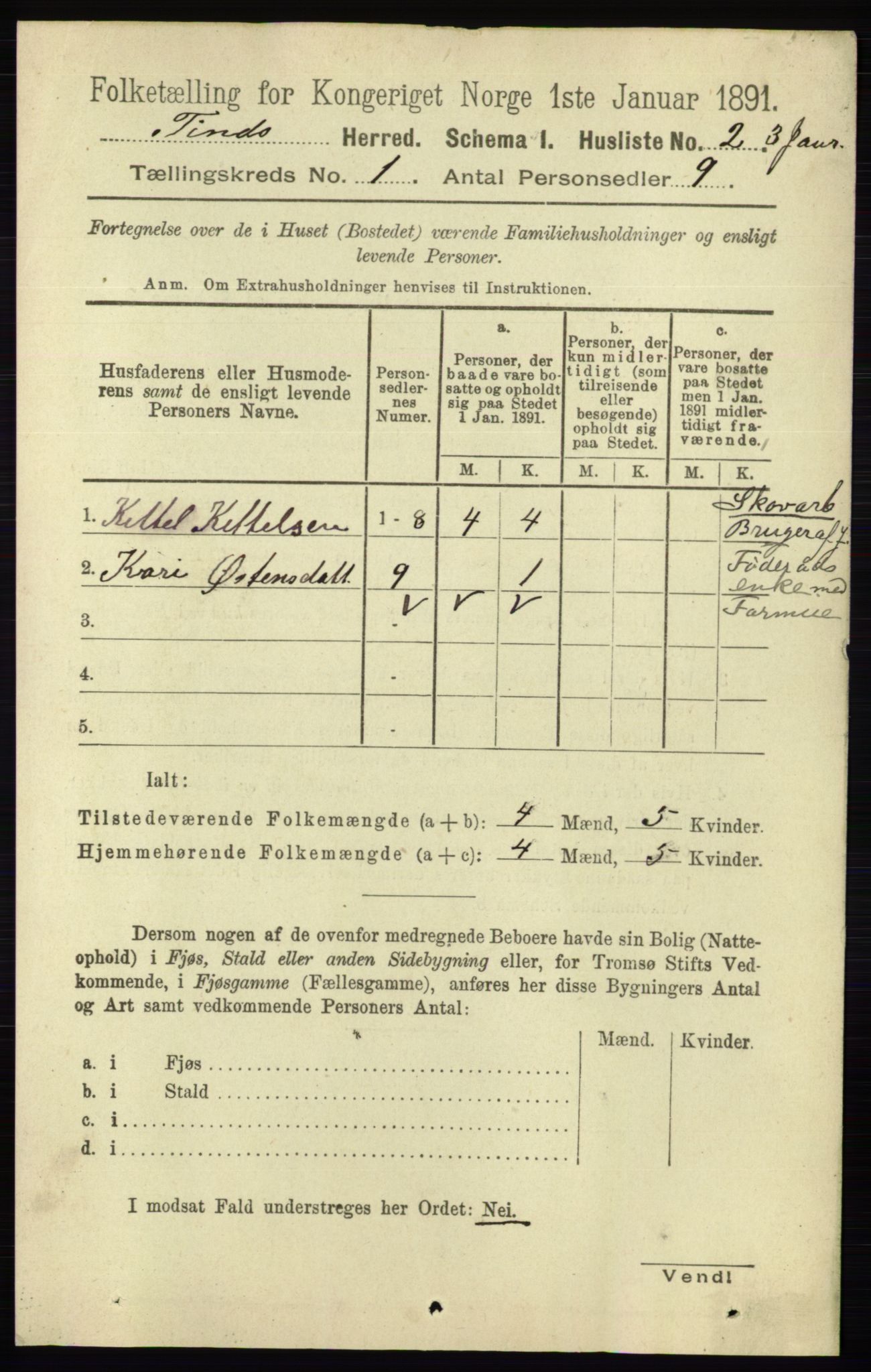 RA, 1891 census for 0826 Tinn, 1891, p. 38