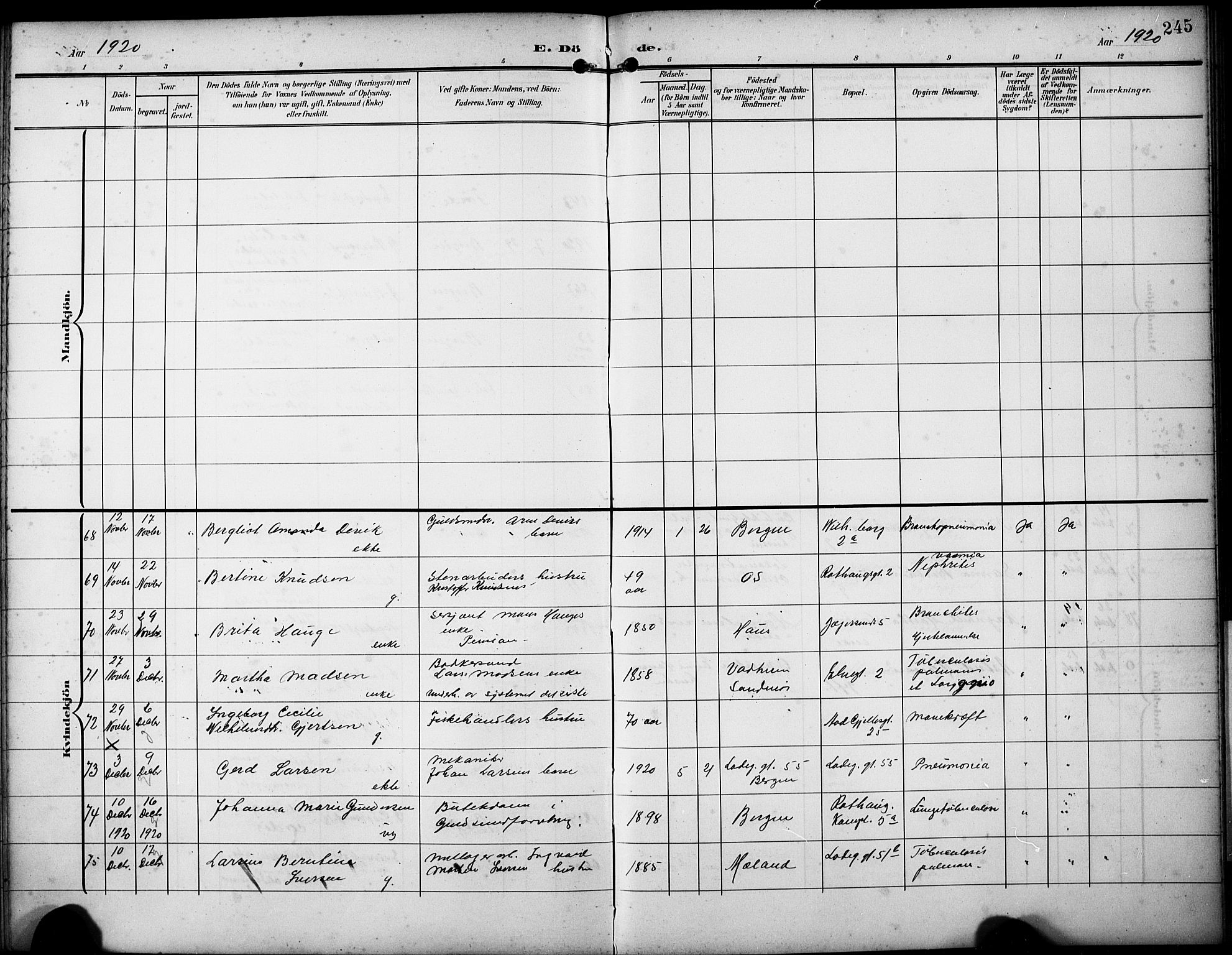 Sandviken Sokneprestembete, AV/SAB-A-77601/H/Hb/L0017: Parish register (copy) no. E 1, 1903-1926, p. 245