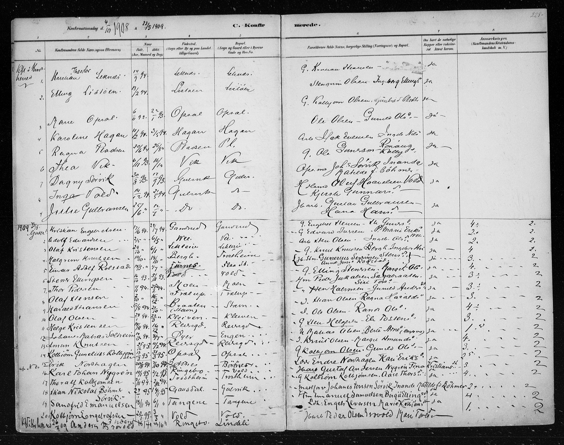 Nes kirkebøker, AV/SAKO-A-236/F/Fa/L0012: Parish register (official) no. 12, 1881-1917, p. 228