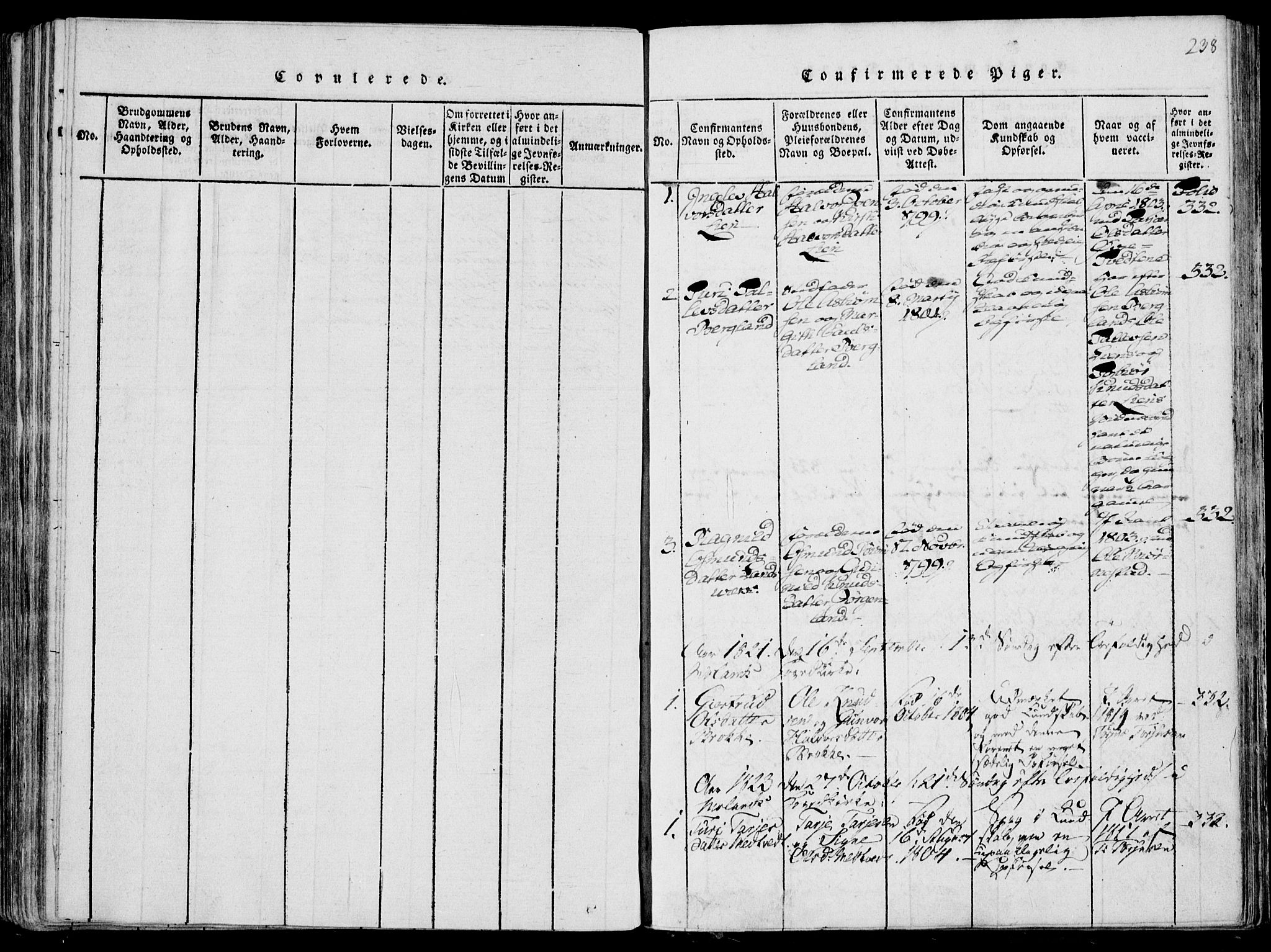Fyresdal kirkebøker, SAKO/A-263/F/Fa/L0004: Parish register (official) no. I 4, 1815-1854, p. 238
