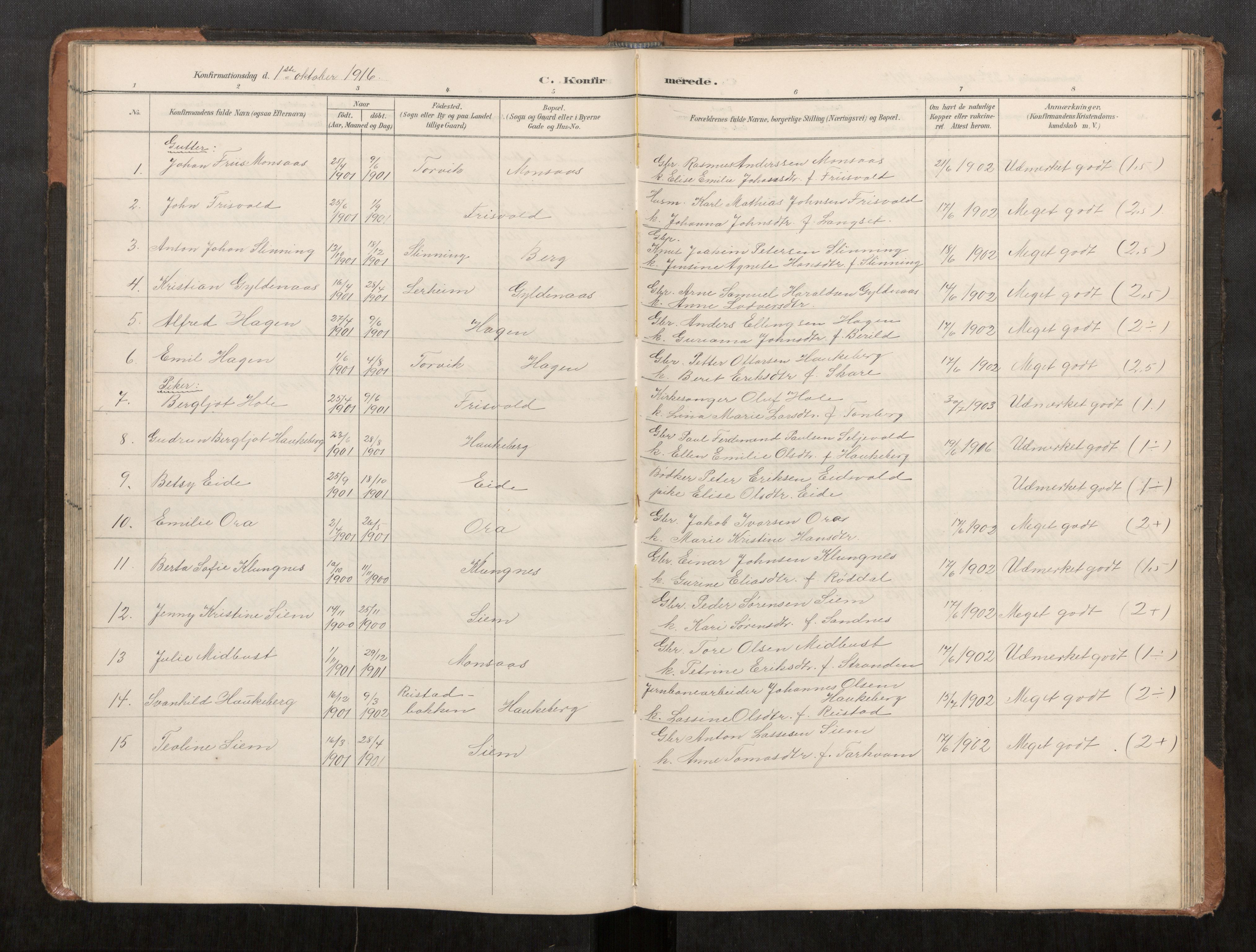 Ministerialprotokoller, klokkerbøker og fødselsregistre - Møre og Romsdal, AV/SAT-A-1454/542/L0561: Parish register (copy) no. 542C03, 1893-1931