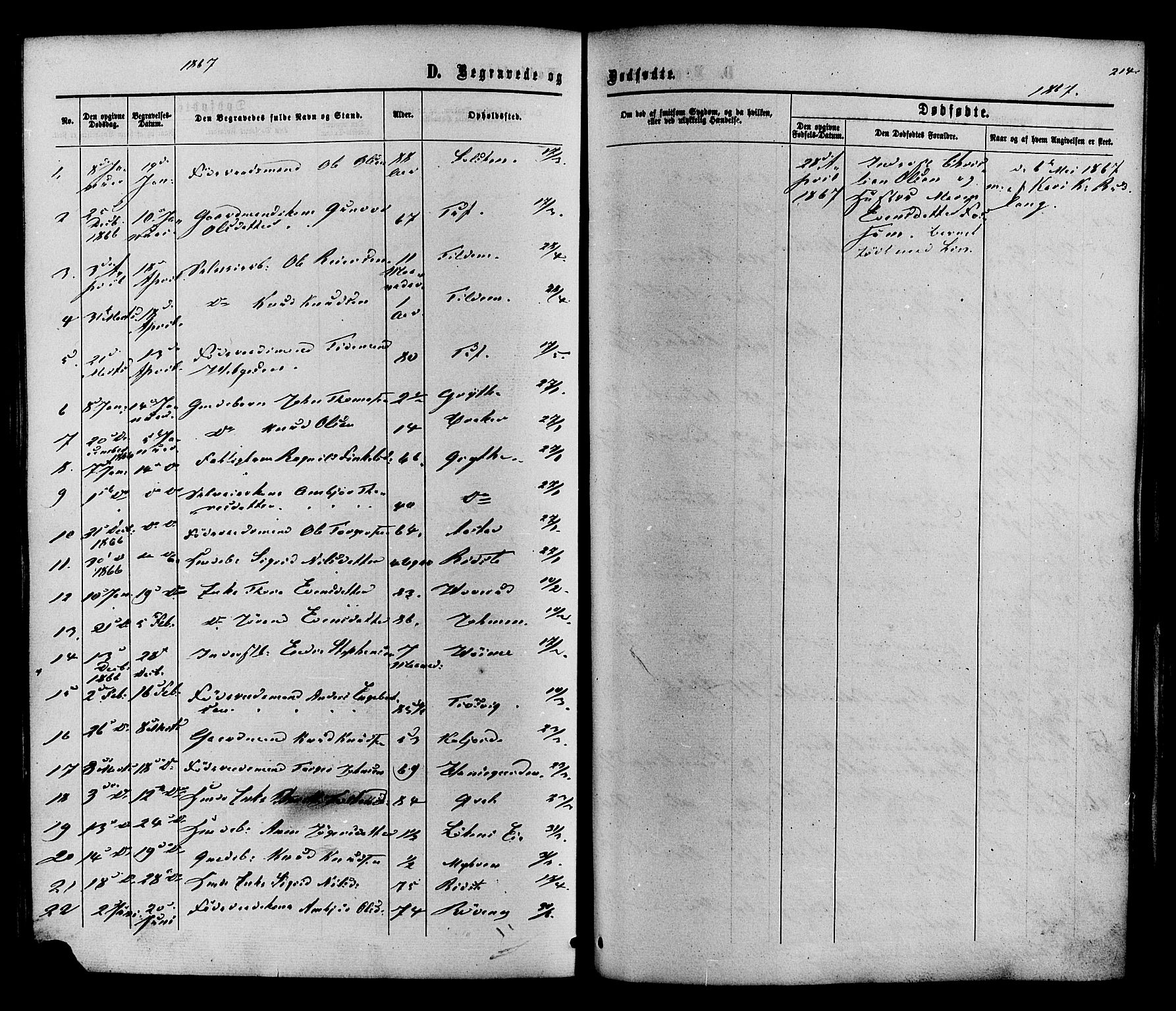Vestre Slidre prestekontor, SAH/PREST-136/H/Ha/Haa/L0003: Parish register (official) no. 3, 1865-1880, p. 214