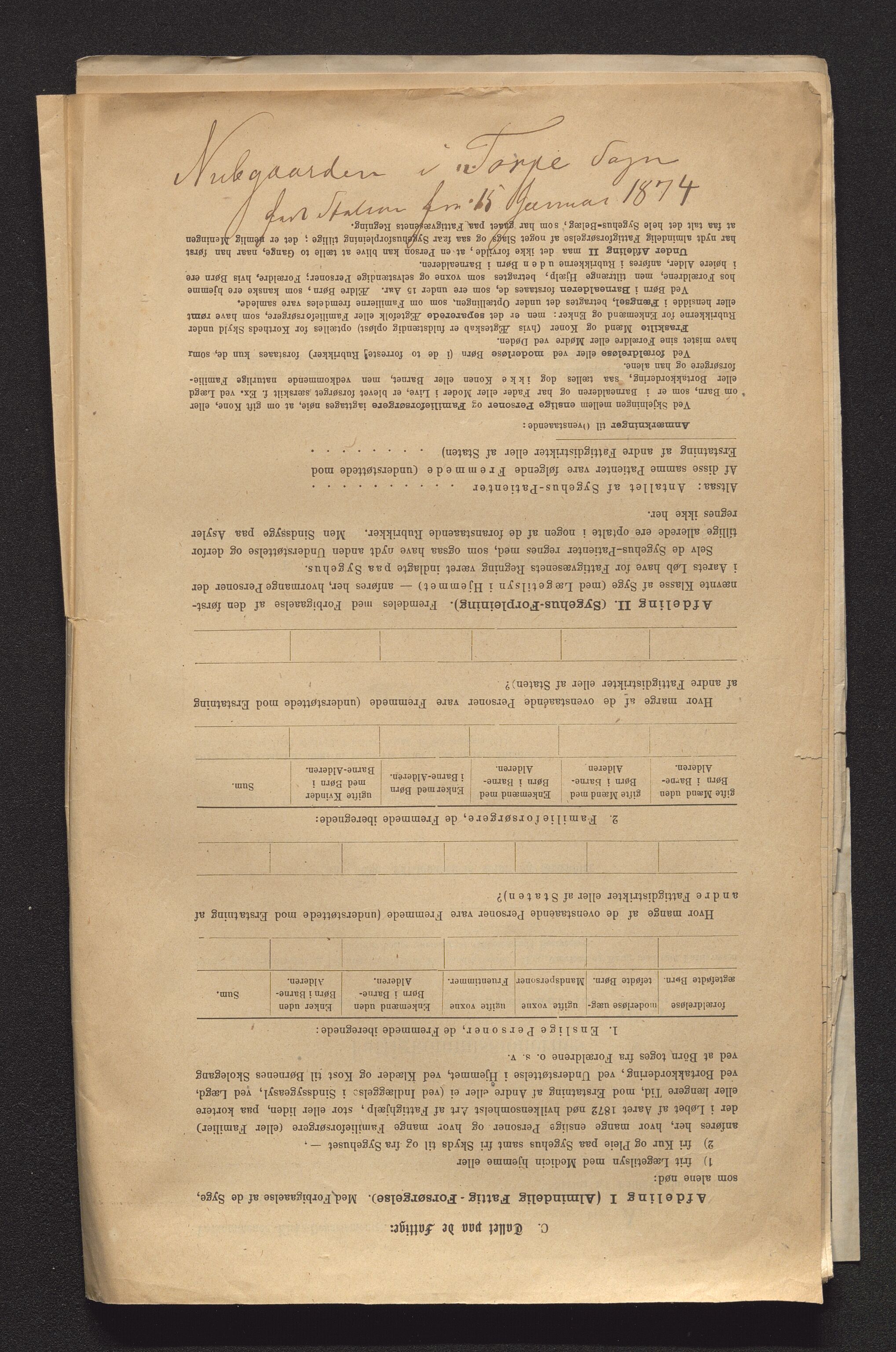 Hallingdal fogderi, AV/SAKO-A-730/J/Ja/L0001/0002: Passjournal og dokumenter vedrørende skyss / Stasjonshold og skyss, 1870-1900, p. 436