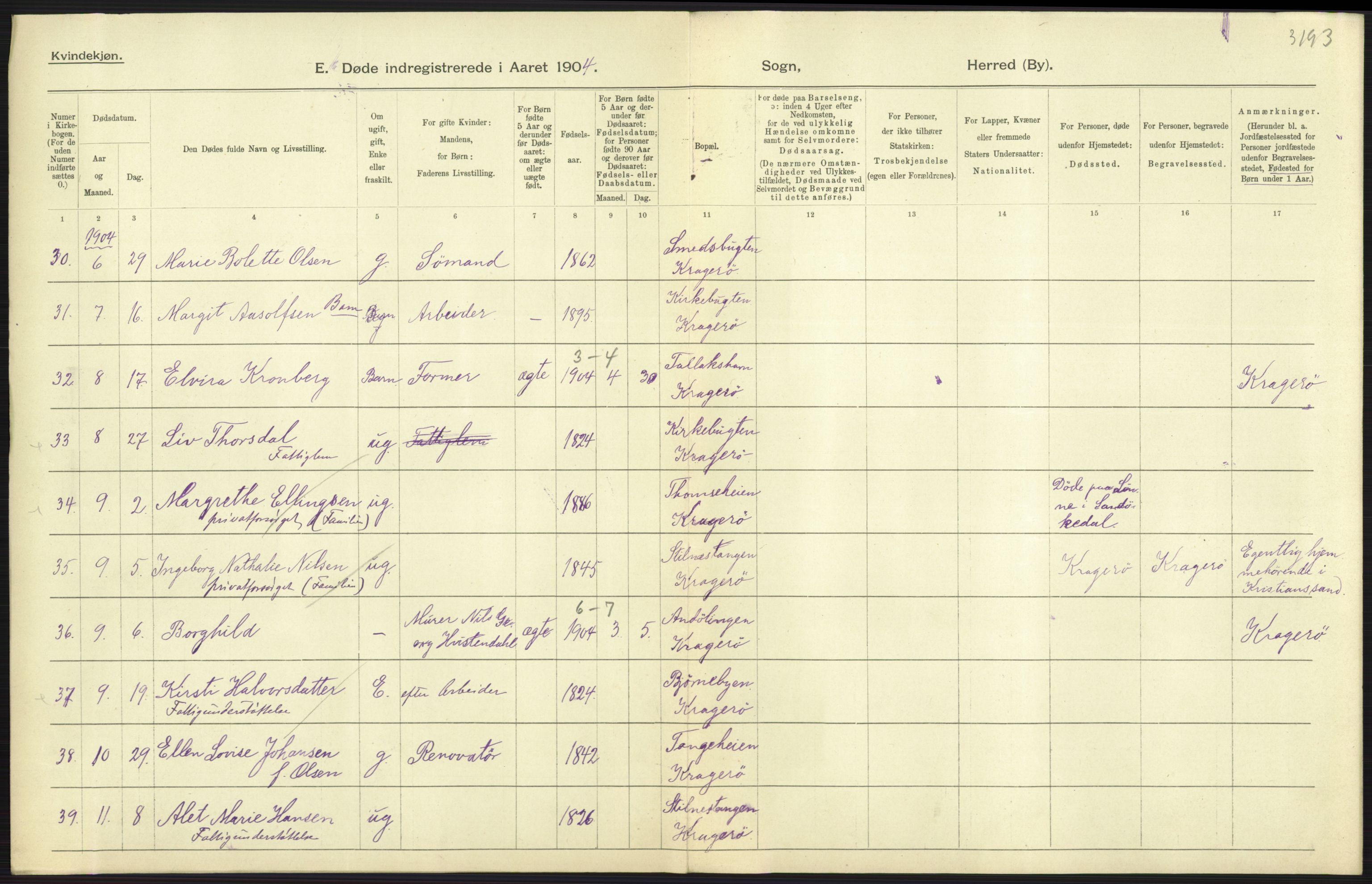 Statistisk sentralbyrå, Sosiodemografiske emner, Befolkning, AV/RA-S-2228/D/Df/Dfa/Dfab/L0009: Bratsberg amt: Fødte, gifte, døde, 1904, p. 753