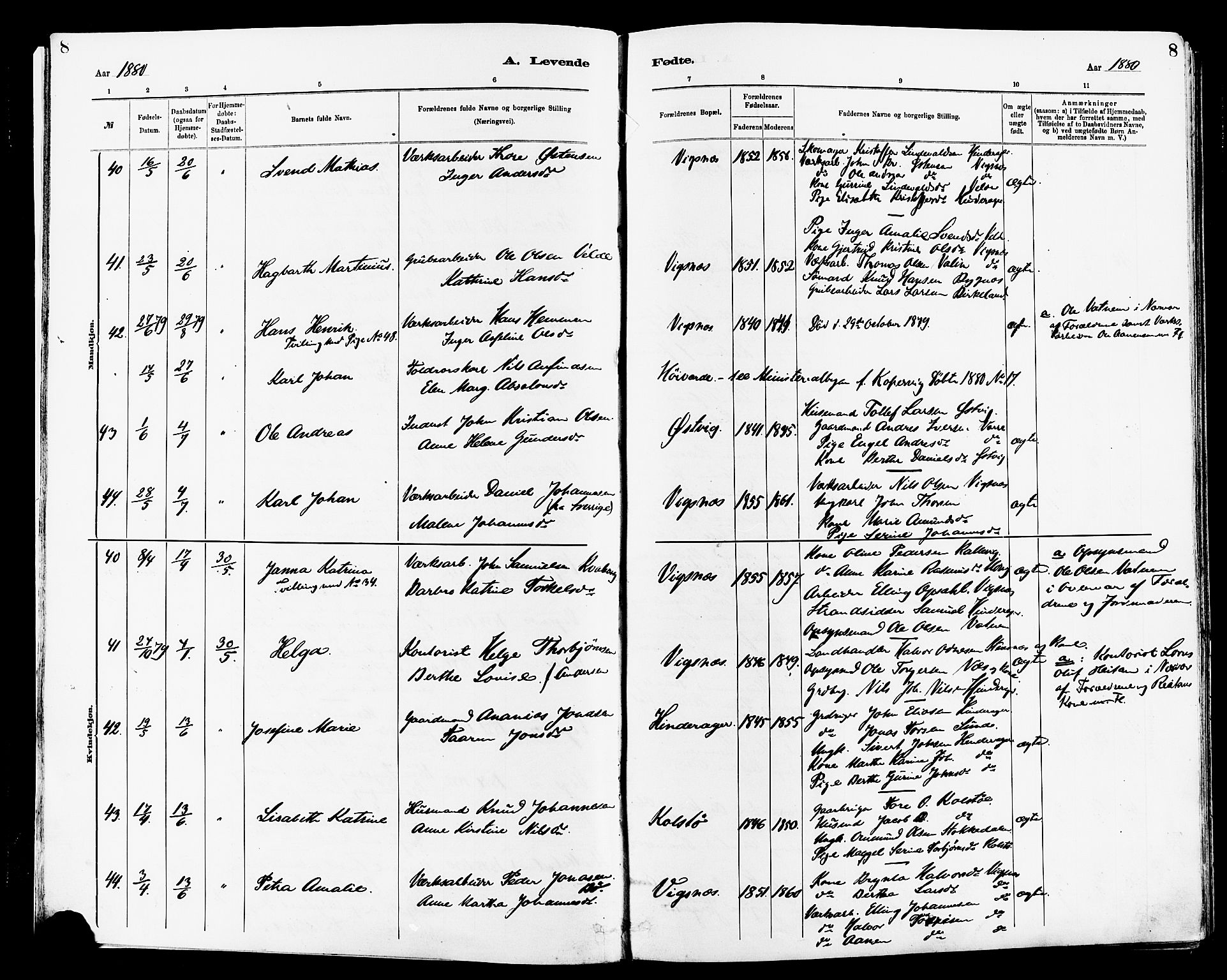 Avaldsnes sokneprestkontor, SAST/A -101851/H/Ha/Haa/L0014: Parish register (official) no. A 14, 1880-1889, p. 8
