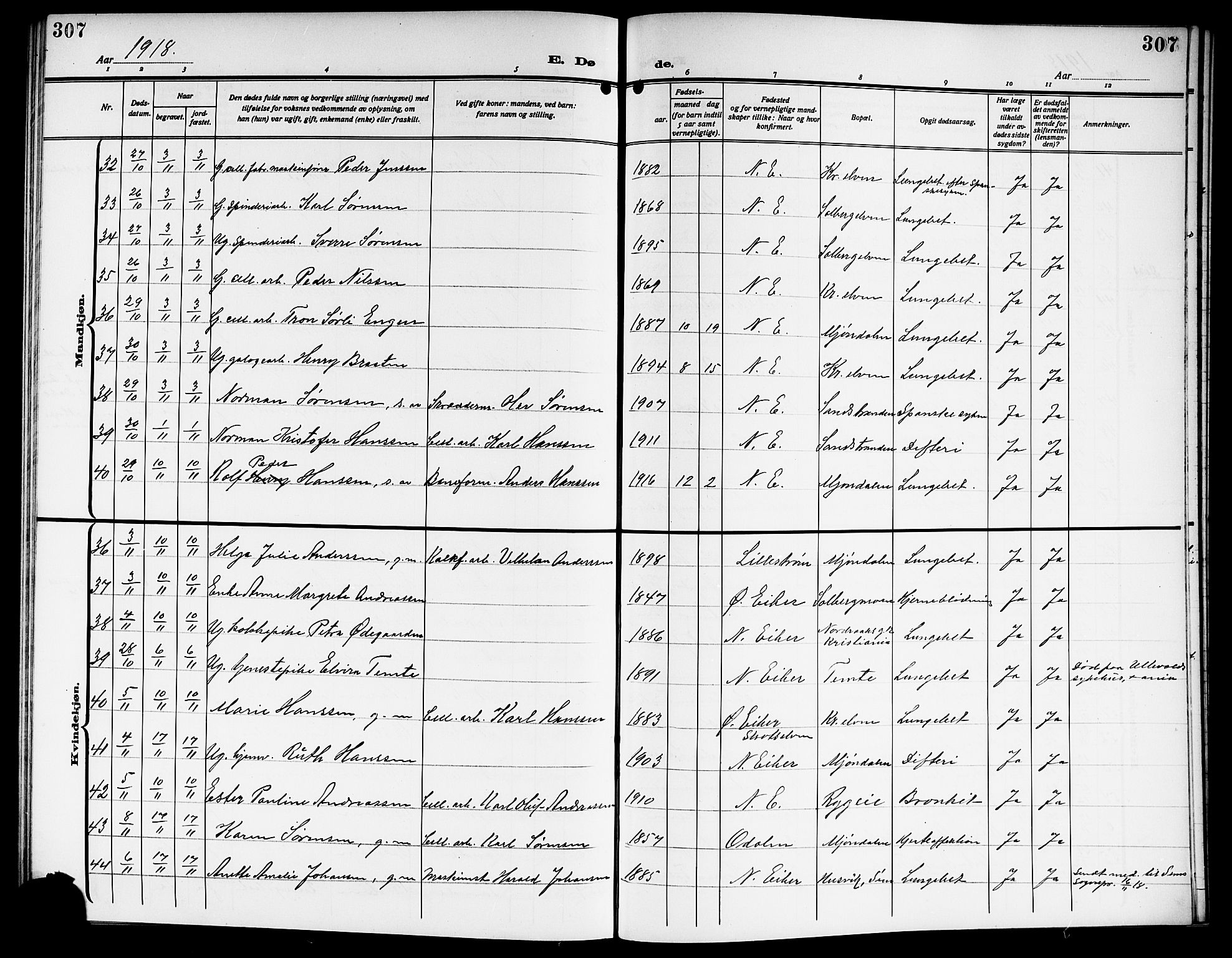 Nedre Eiker kirkebøker, SAKO/A-612/G/Ga/L0005: Parish register (copy) no. 5, 1913-1921, p. 307