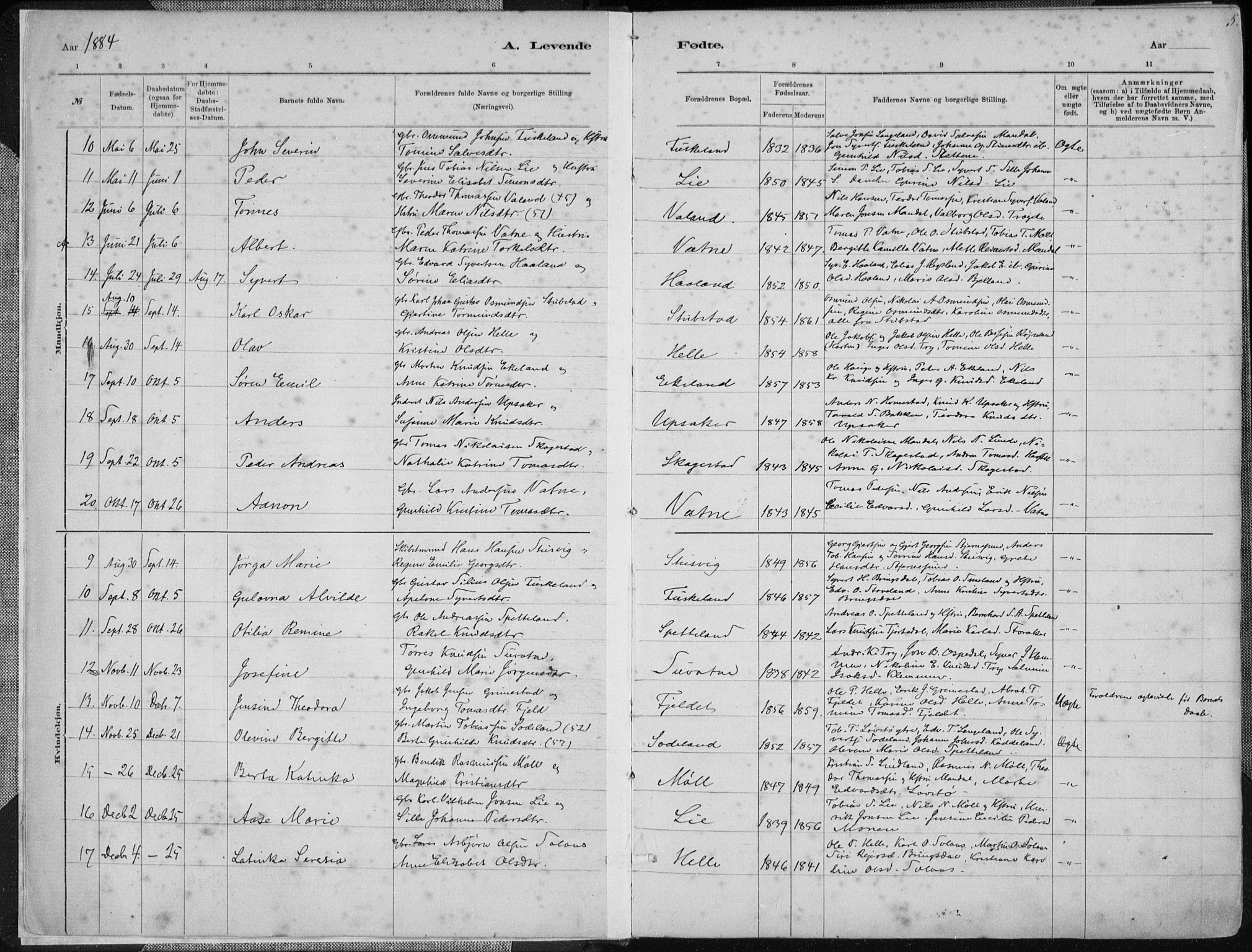 Holum sokneprestkontor, SAK/1111-0022/F/Fa/Faa/L0007: Parish register (official) no. A 7, 1884-1907, p. 5