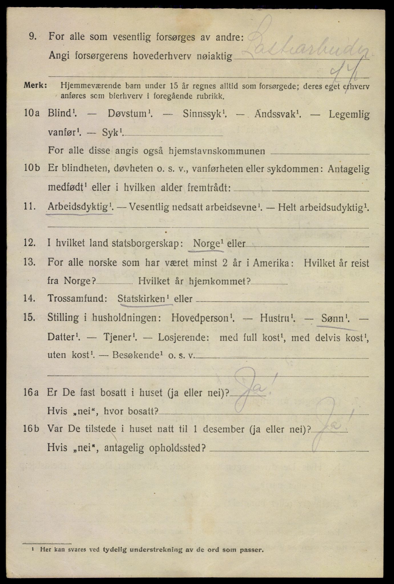 SAKO, 1920 census for Kragerø, 1920, p. 13020