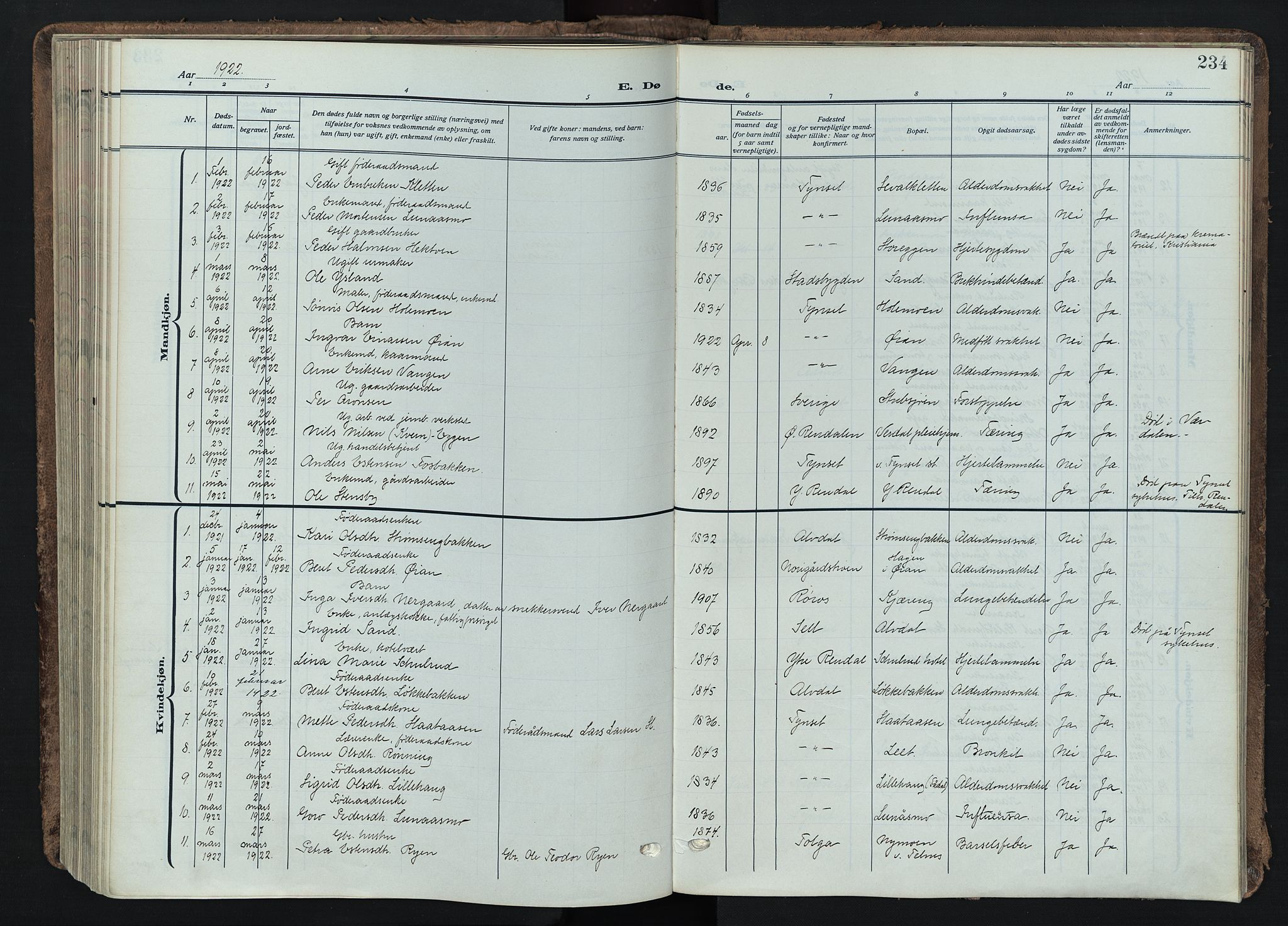 Tynset prestekontor, SAH/PREST-058/H/Ha/Haa/L0026: Parish register (official) no. 26, 1915-1929, p. 234