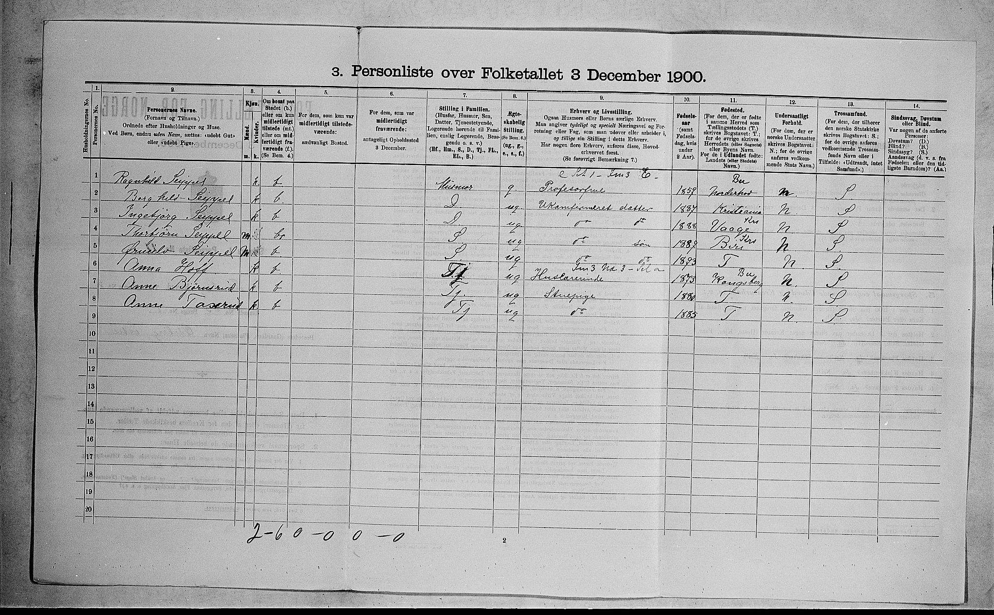 RA, 1900 census for Flesberg, 1900, p. 299