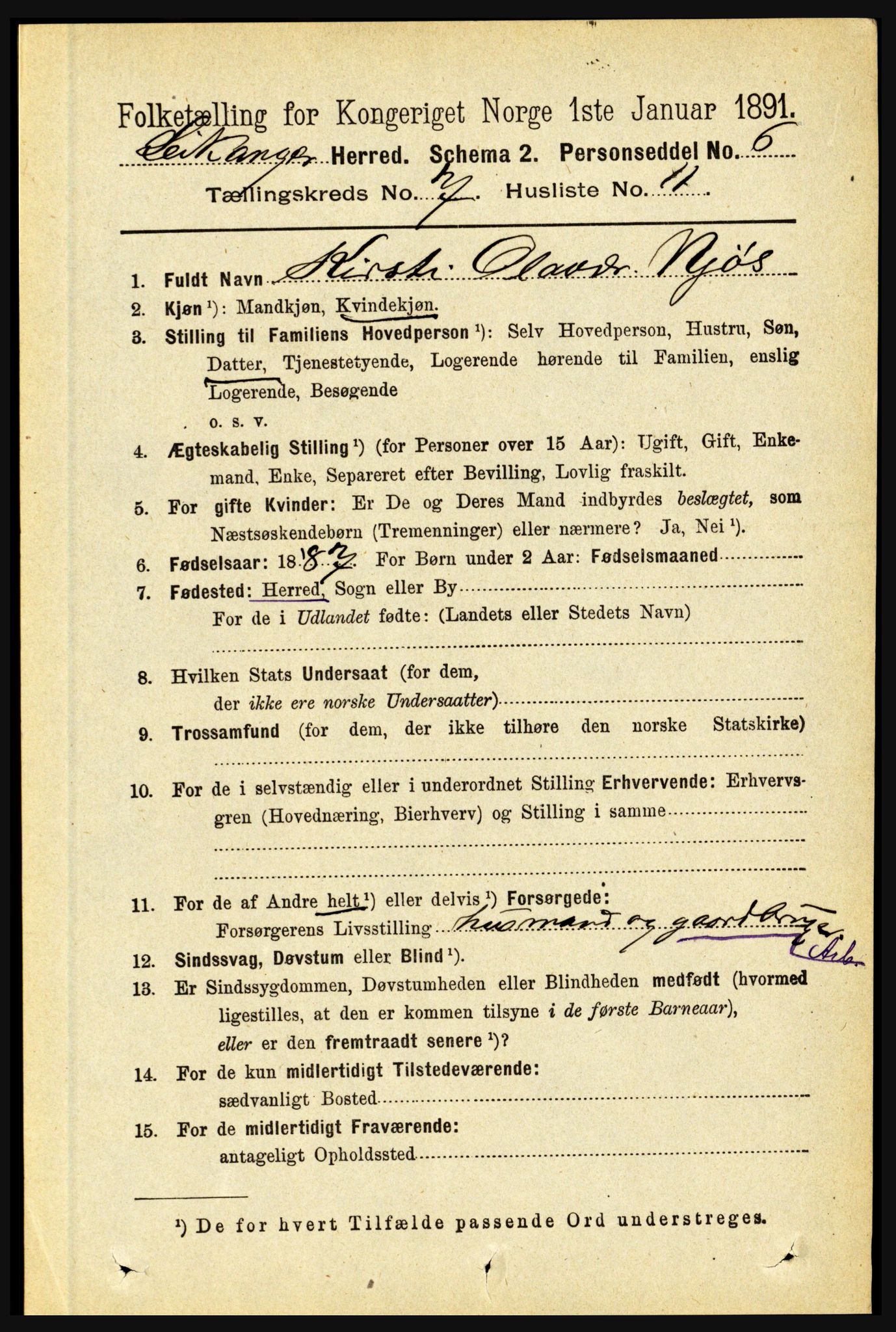 RA, 1891 census for 1419 Leikanger, 1891, p. 1406