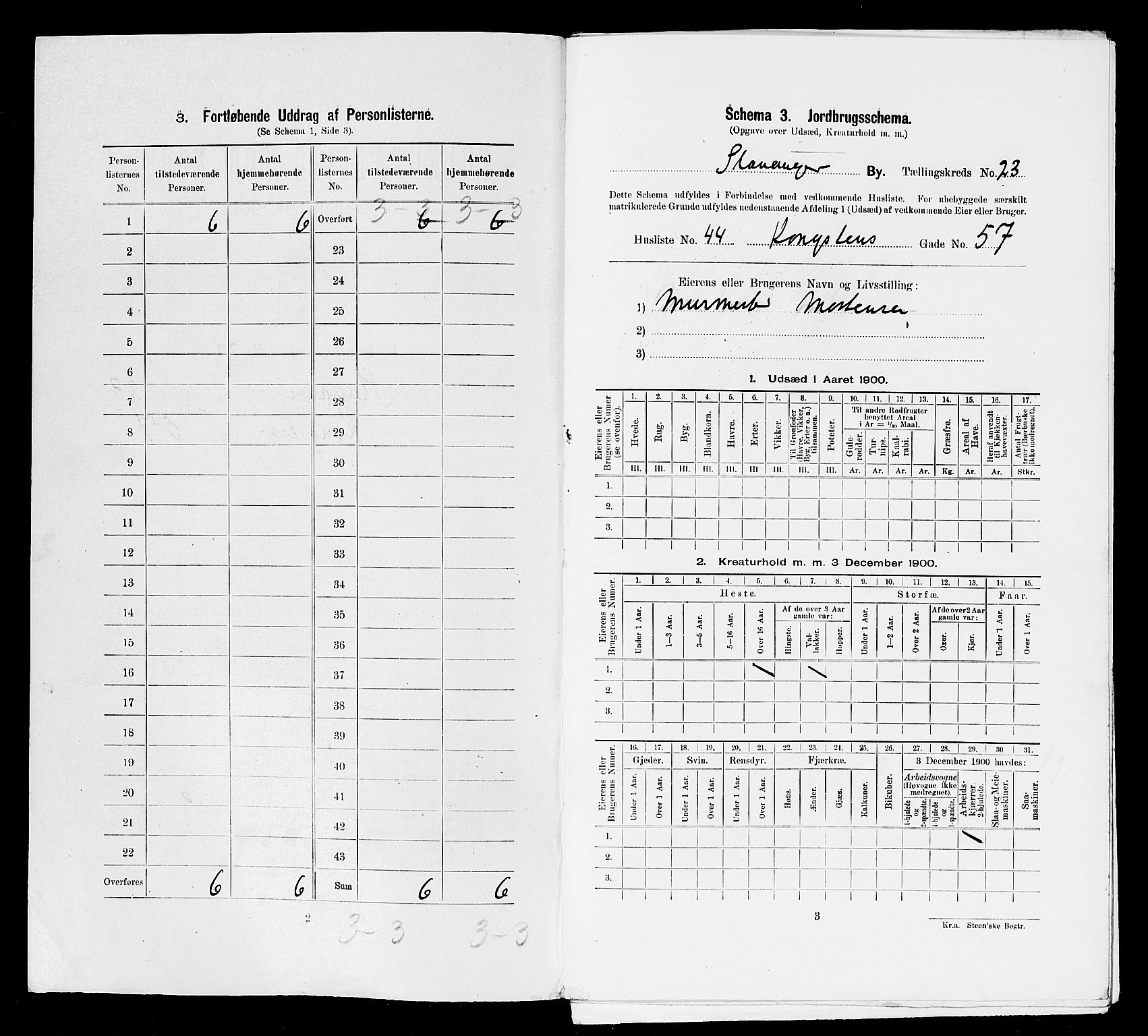 SAST, 1900 census for Stavanger, 1900, p. 8717