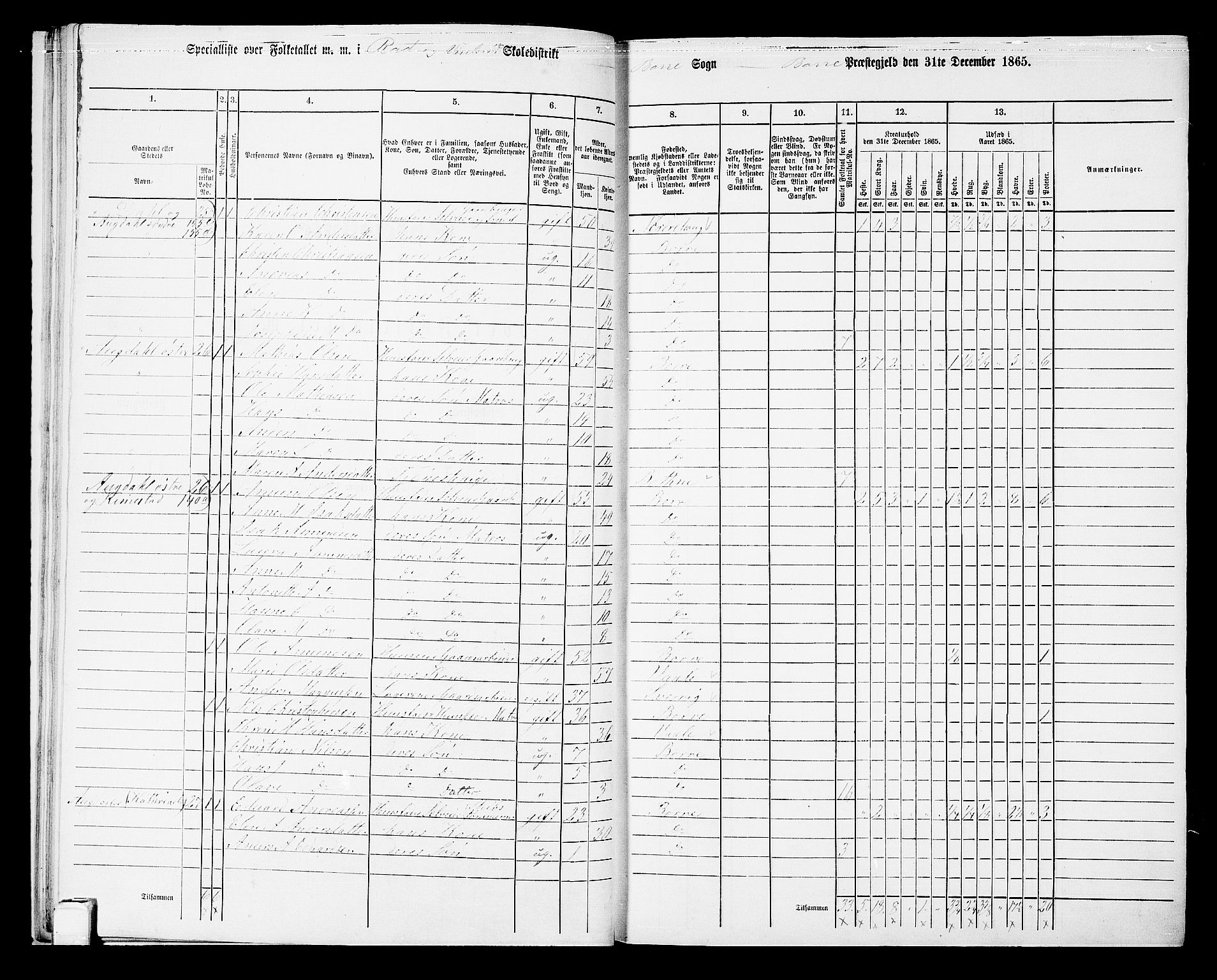 RA, 1865 census for Borre, 1865, p. 48