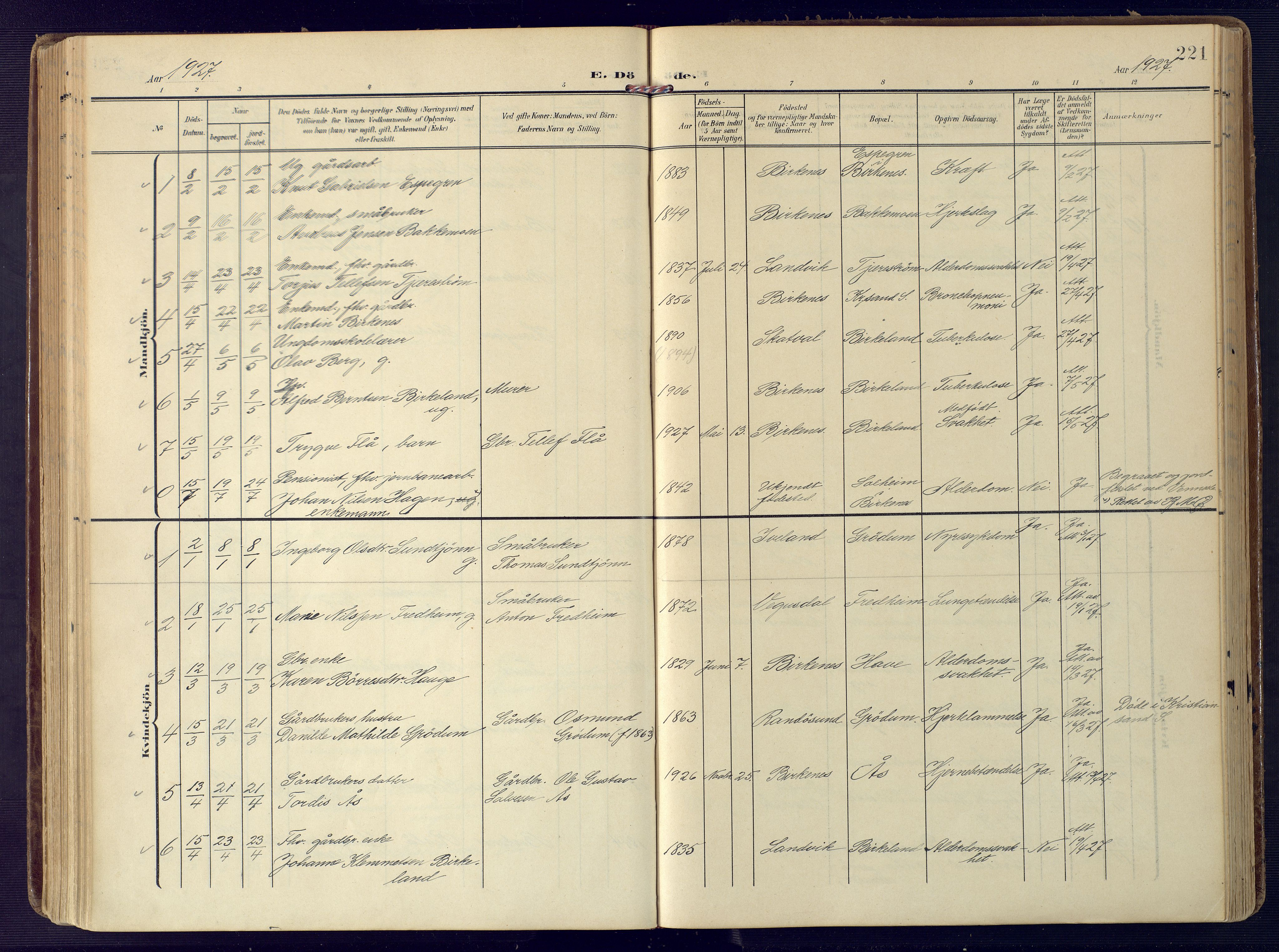 Birkenes sokneprestkontor, AV/SAK-1111-0004/F/Fa/L0006: Parish register (official) no. A 6, 1908-1932, p. 221