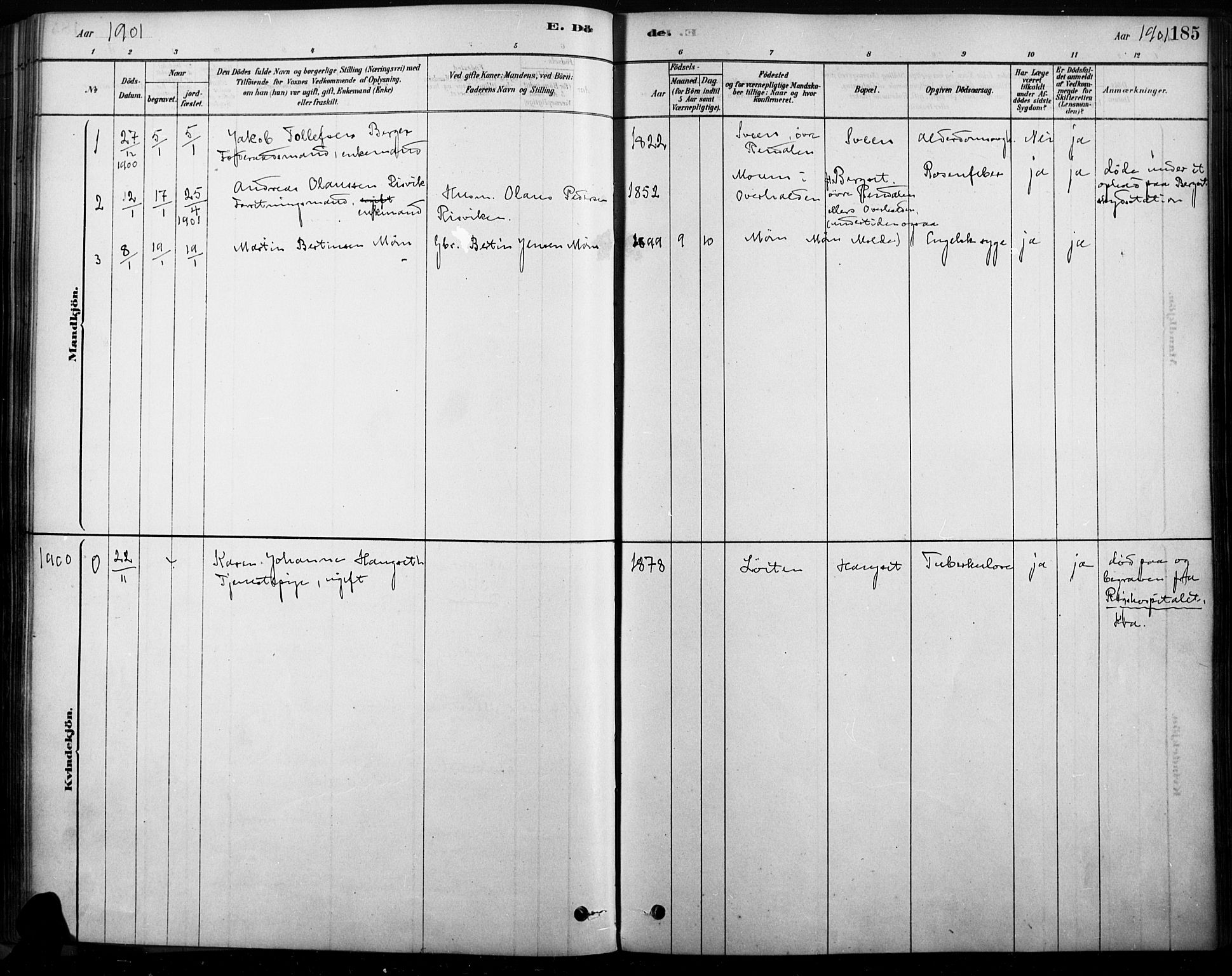 Rendalen prestekontor, SAH/PREST-054/H/Ha/Haa/L0009: Parish register (official) no. 9, 1878-1901, p. 185