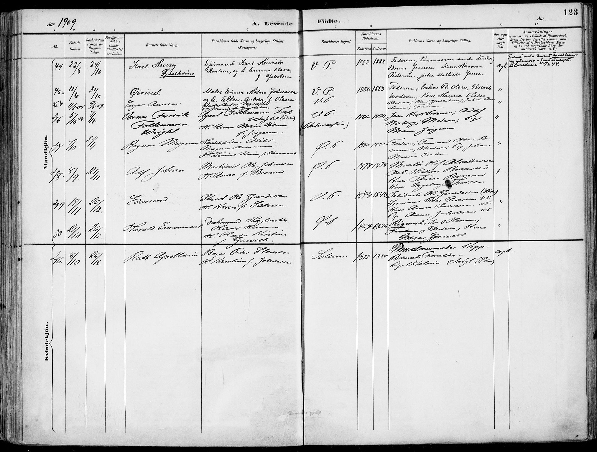 Porsgrunn kirkebøker , SAKO/A-104/F/Fa/L0010: Parish register (official) no. 10, 1895-1919, p. 123