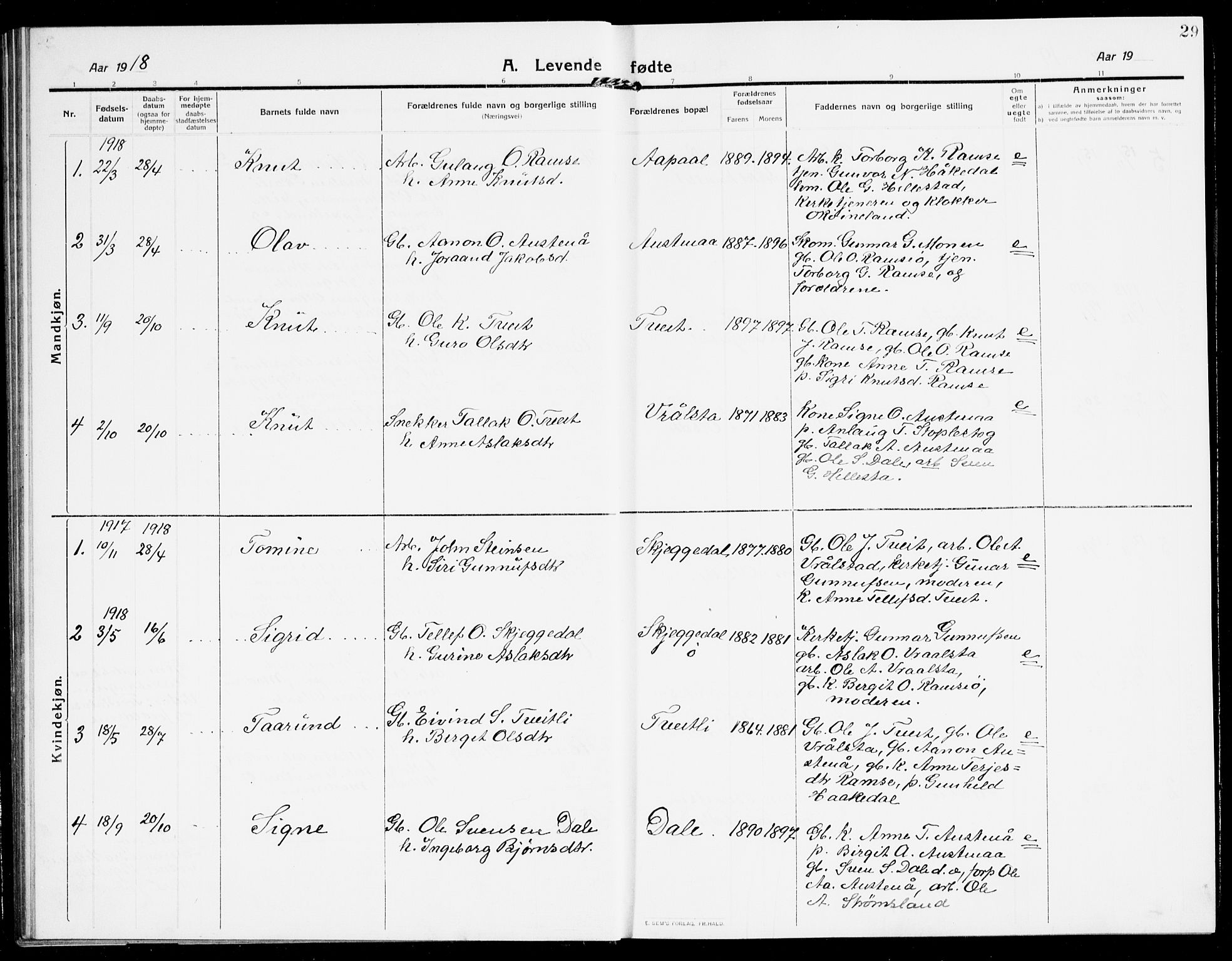 Åmli sokneprestkontor, AV/SAK-1111-0050/F/Fb/Fbb/L0003: Parish register (copy) no. B 3, 1906-1941, p. 29