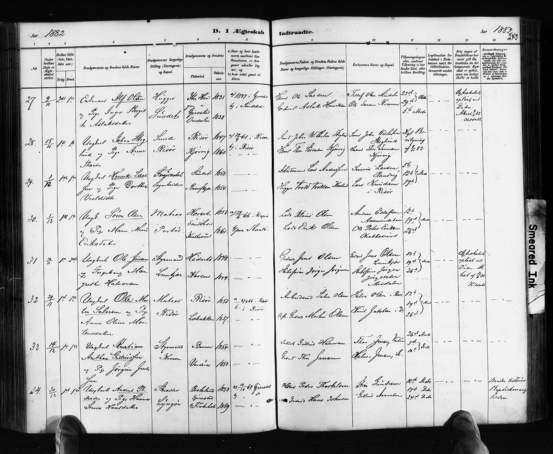 Søndeled sokneprestkontor, AV/SAK-1111-0038/F/Fa/L0004: Parish register (official) no. A 4, 1880-1889, p. 243